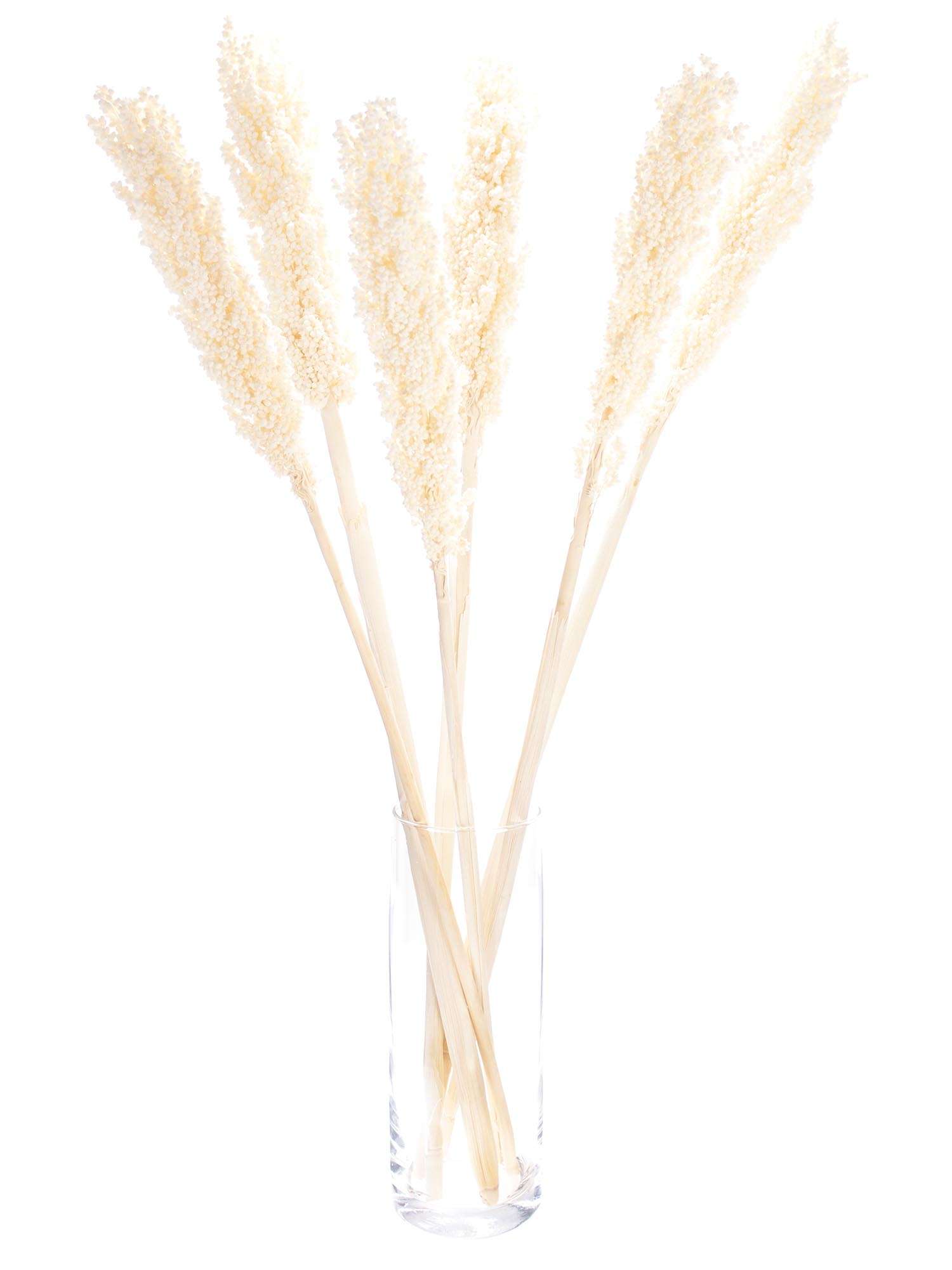 blumigo-trockenblumen-sorghumhirse-wei-creme-gebleicht image 2
