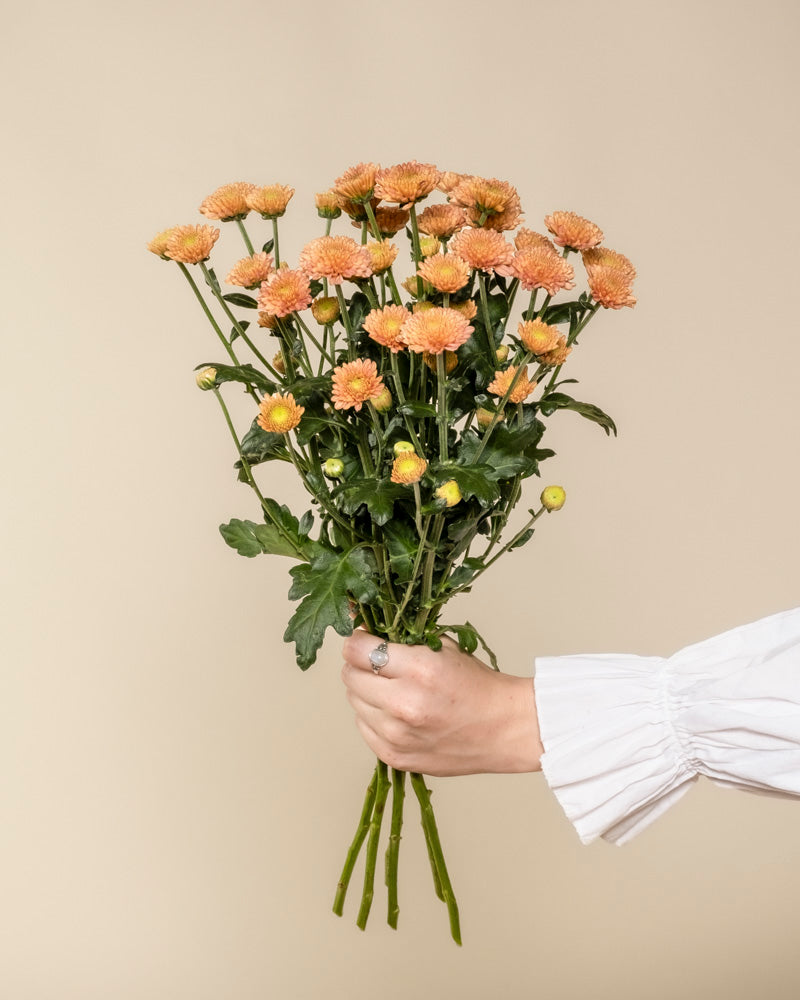 feey-rilio-chrysanthemen-pfirsich-blumenstrau image 4