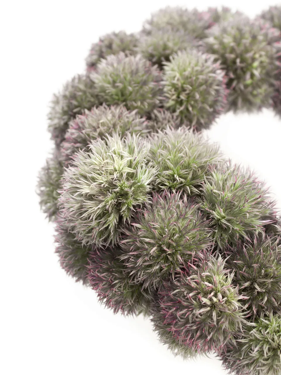 blumigo-disteln-kugeldistel-kranz-23-cm-trockenkranz-blau image 1