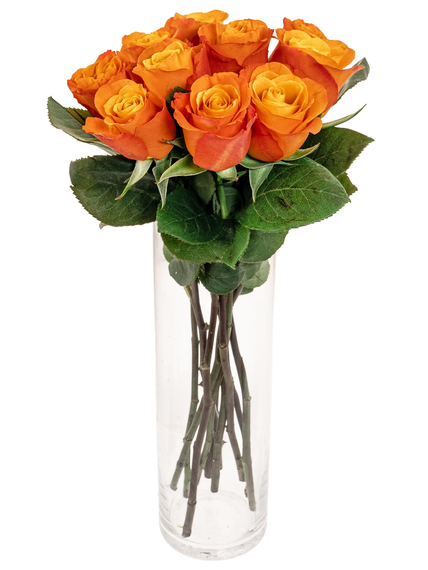 blumigo-rosen-confidental-schnittrosen-orange image 2