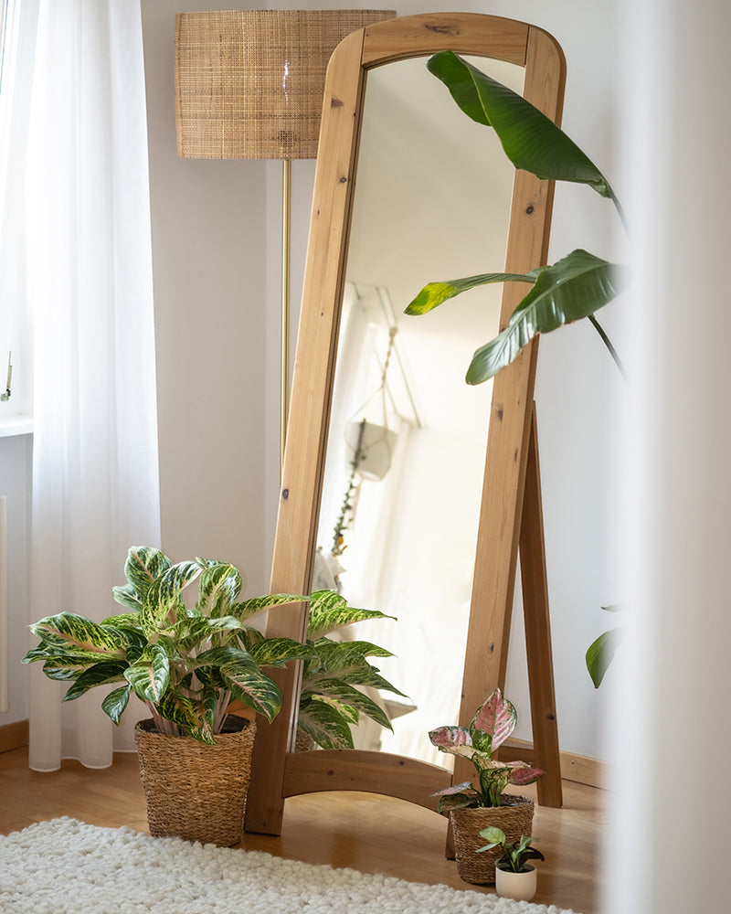 feey-variado-tropical-beauty-zimmerpflanzen-set-4-teilig image 4