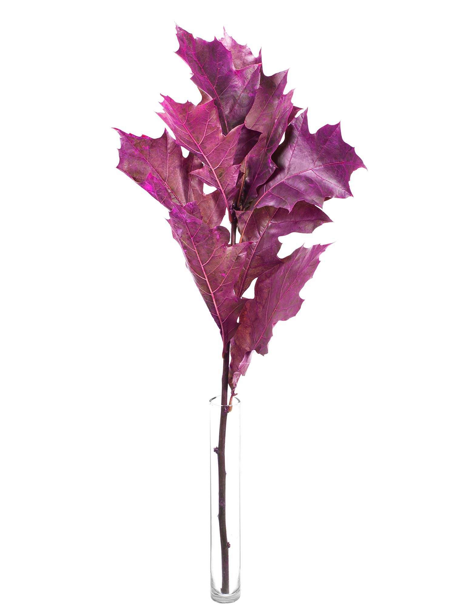 blumigo-blattwerk-und-bindegr-n-eichenbl-tter-schnittgr-n-pink image 3