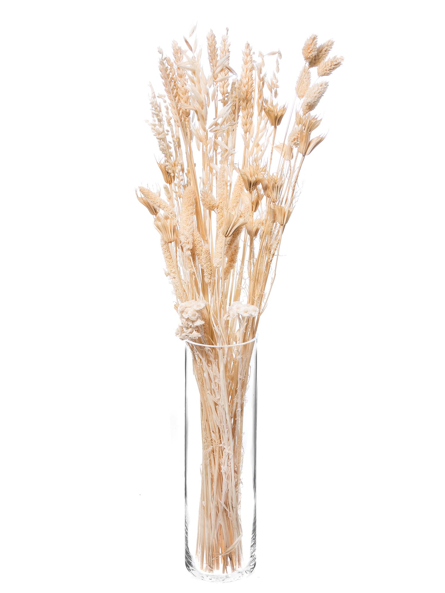 blumigo-trockenblumen-coconut-dream-mix-trockenstrau-gebleicht image 2