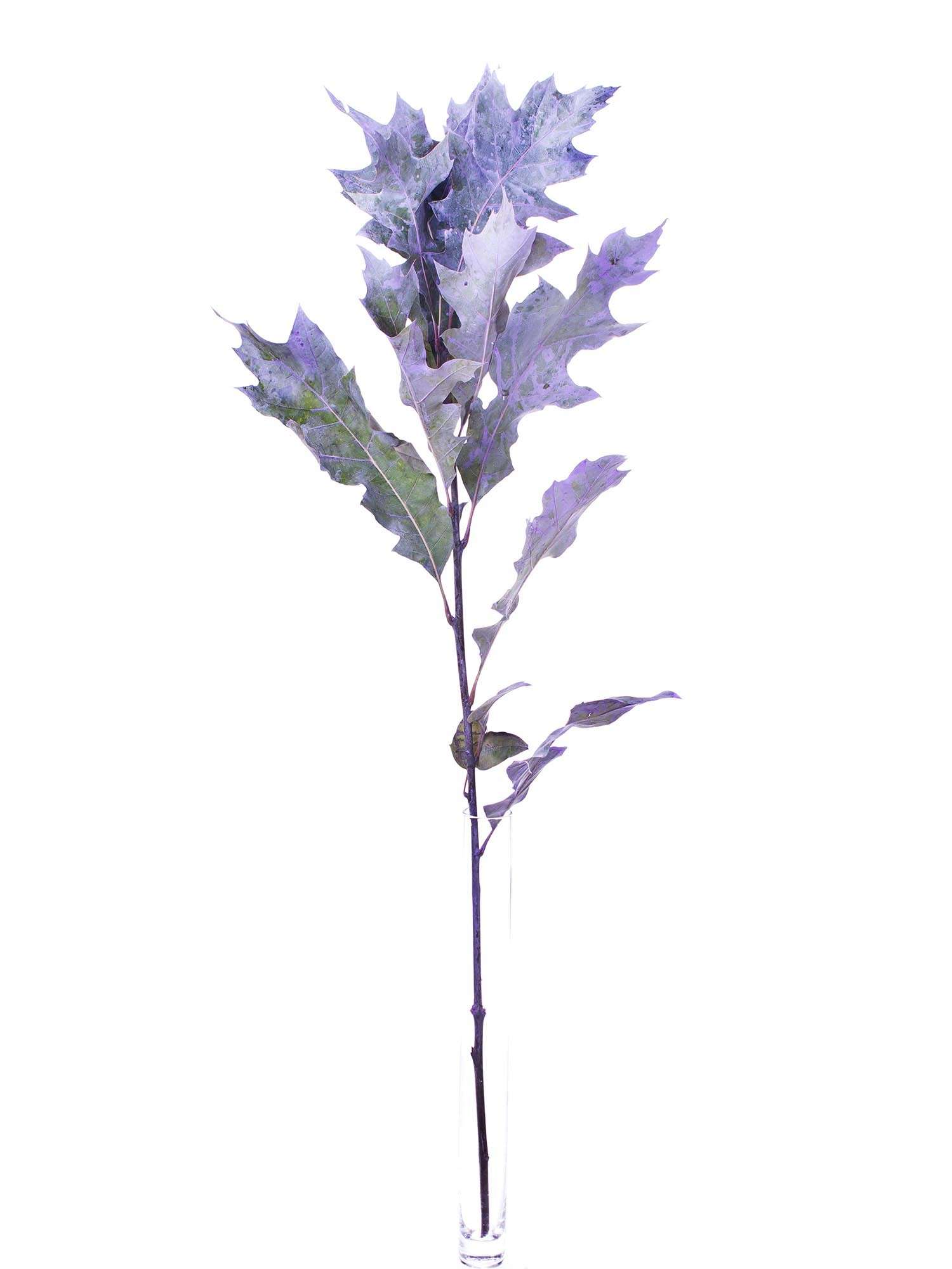 blumigo-bindegr-n-eichenbl-tter-violett-painted-deko image 3