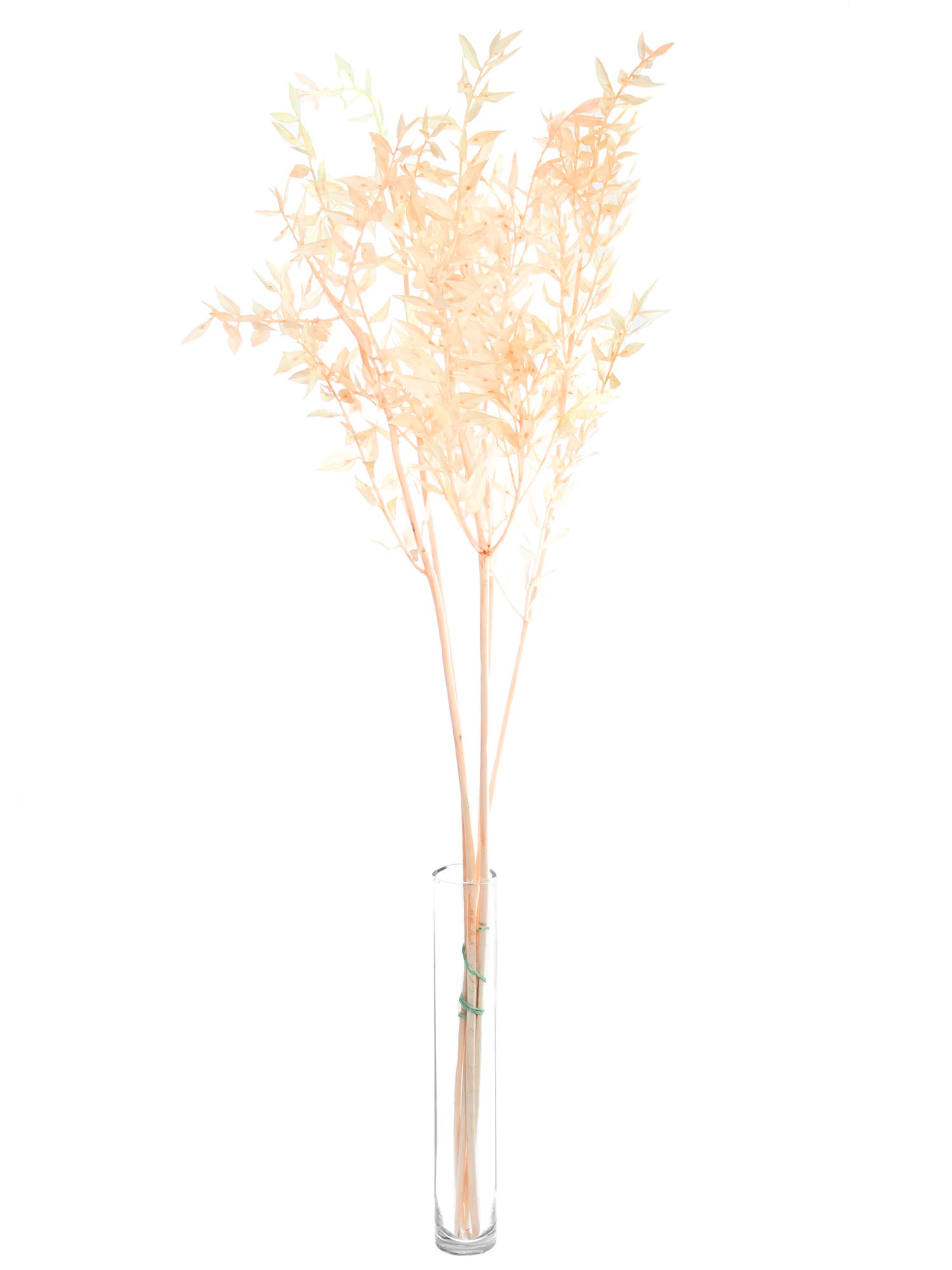 blumigo-trockenblumen-ruscus-m-usedorn-apricot image 2