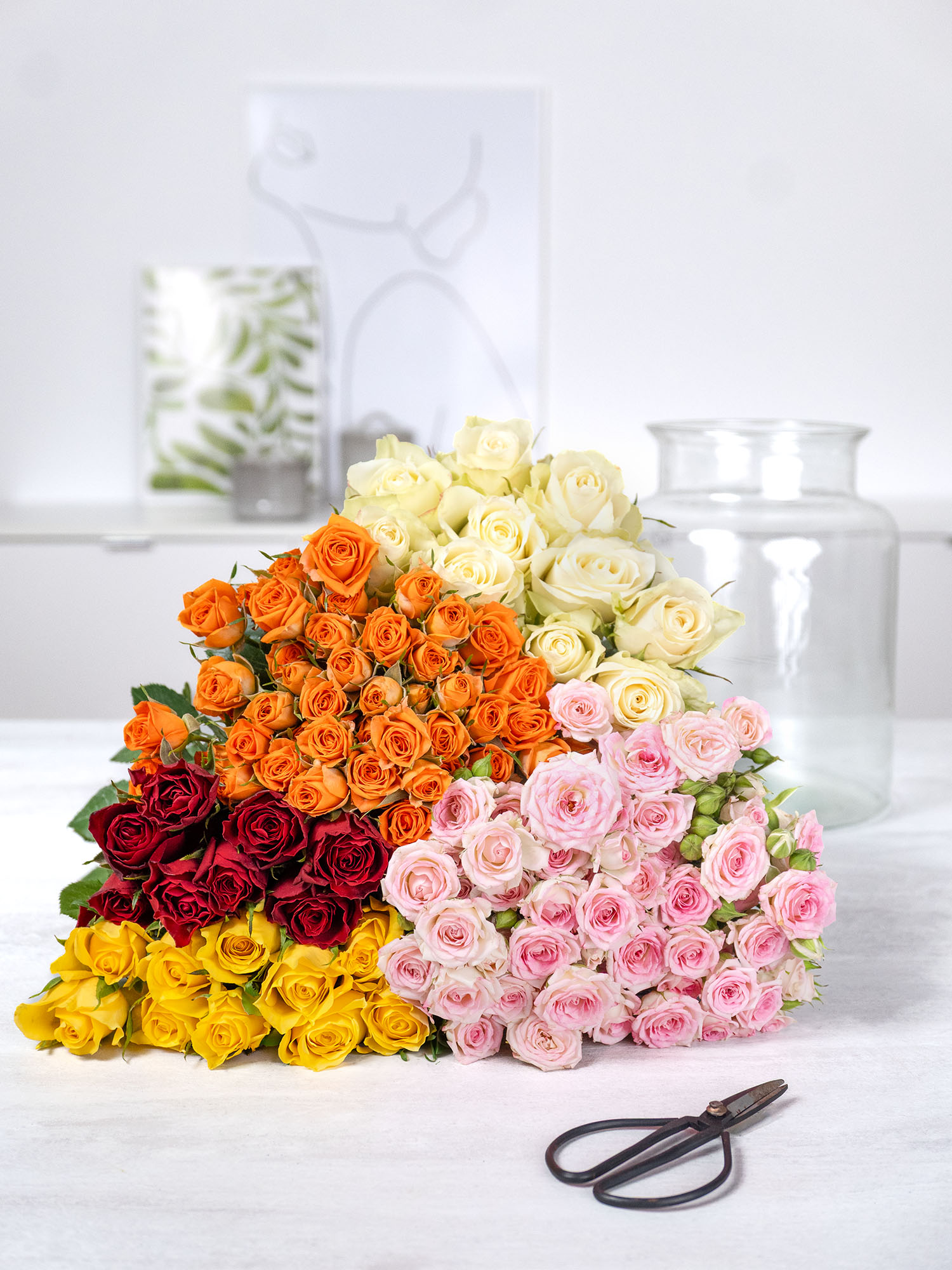 blumigo-maxi-rosen-berraschungsmix-50-stiele-gemischt image 2