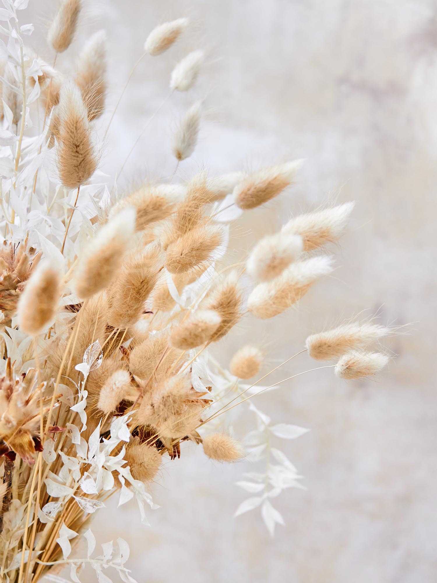 blumigo-berraschungsmixe-winter-simplicity-bouquet-trockenstrau image 3