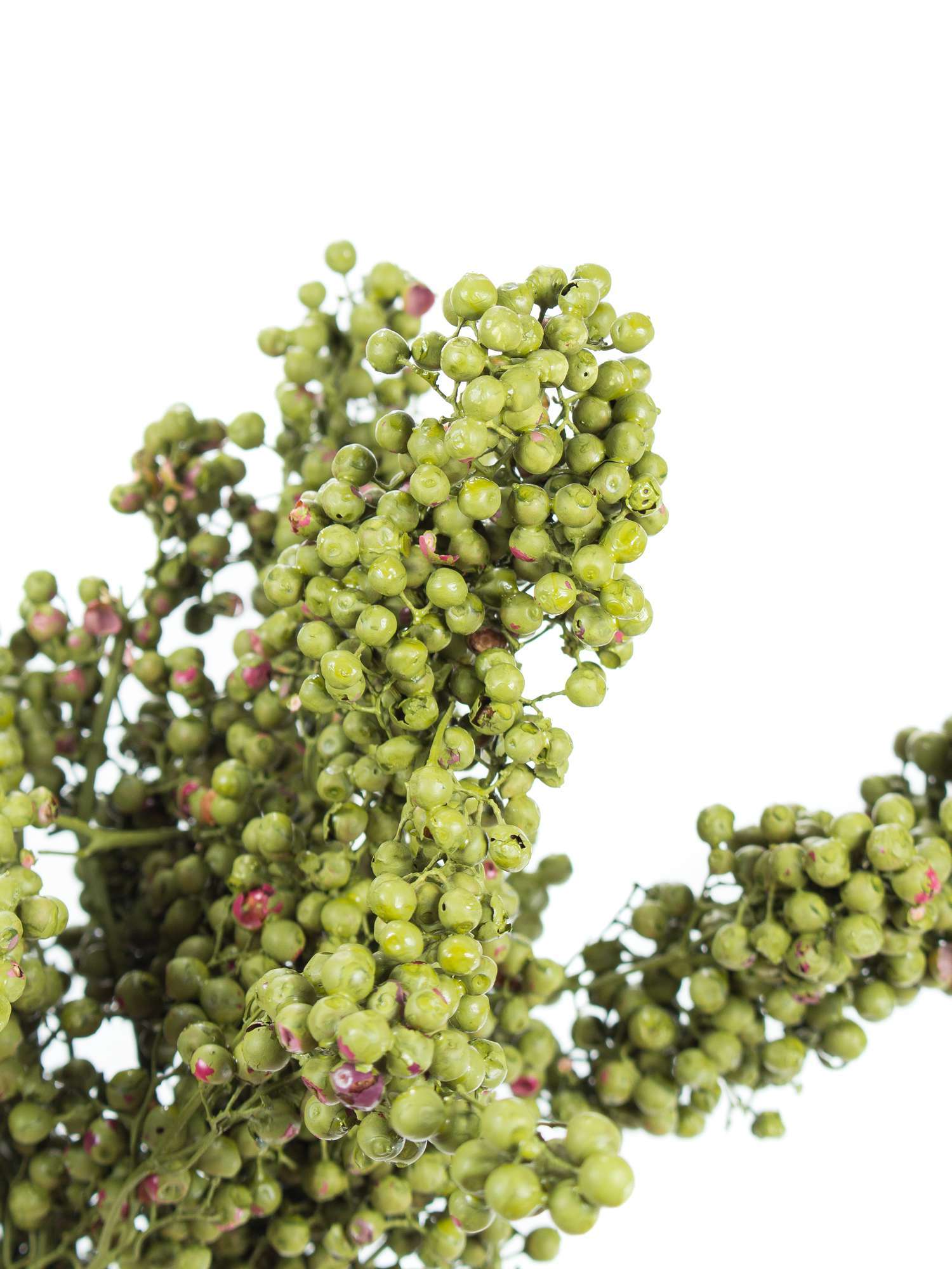 blumigo-pfefferbeeren-trockenblumen-gr-n-gef-rbt image 1