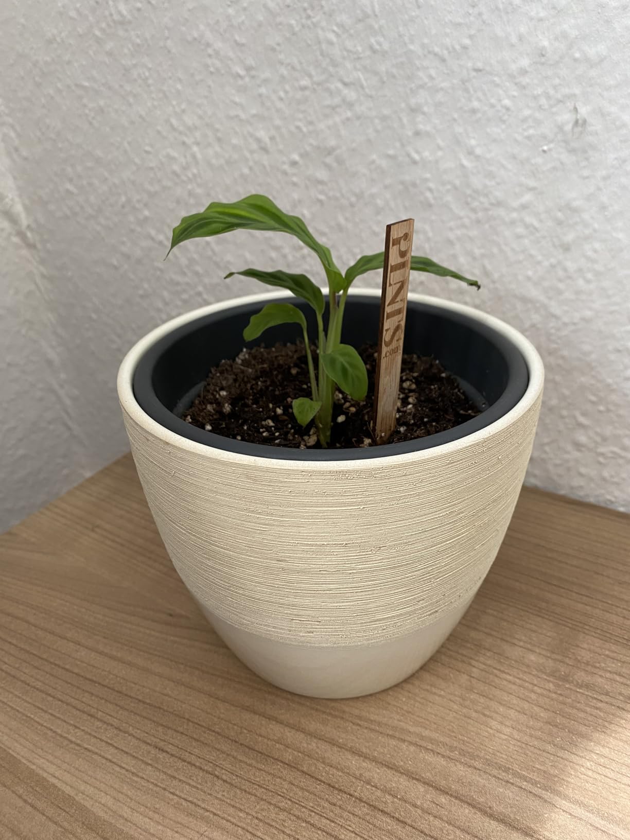 Süße Kleine