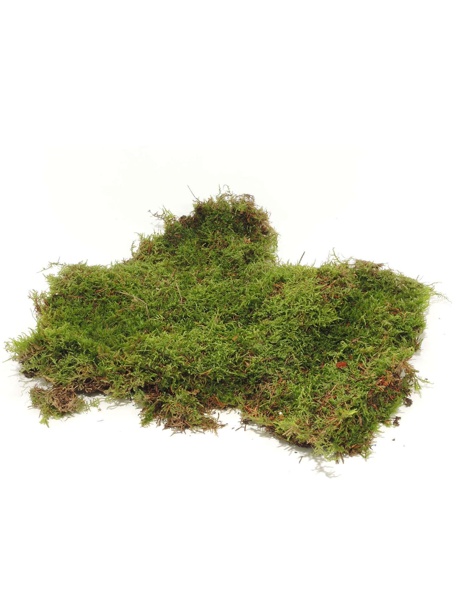 blumigo-plattenmoos-frisch-gr-n-35x25-cm-1-ebene-deko-moos image 2