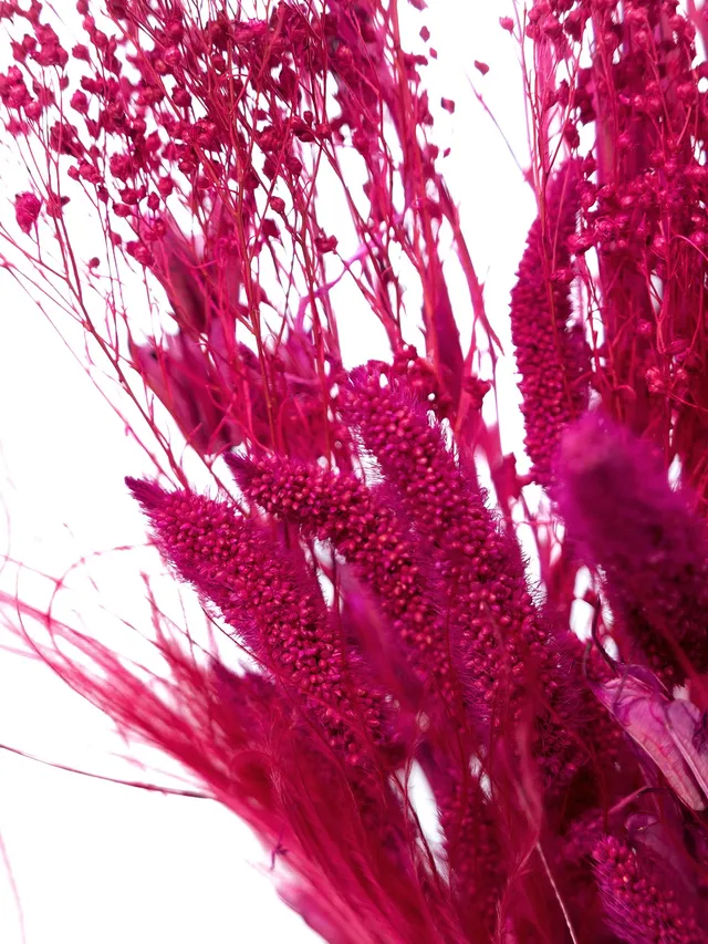 blumigo-pink-passion-mix-trockenblumen-pink image 1