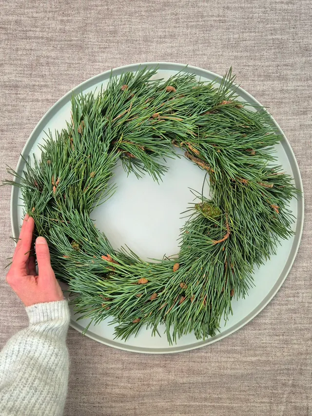 blumigo-zierkranz-kiefer-pinus-mugo-35-cm-winterkranz image 1