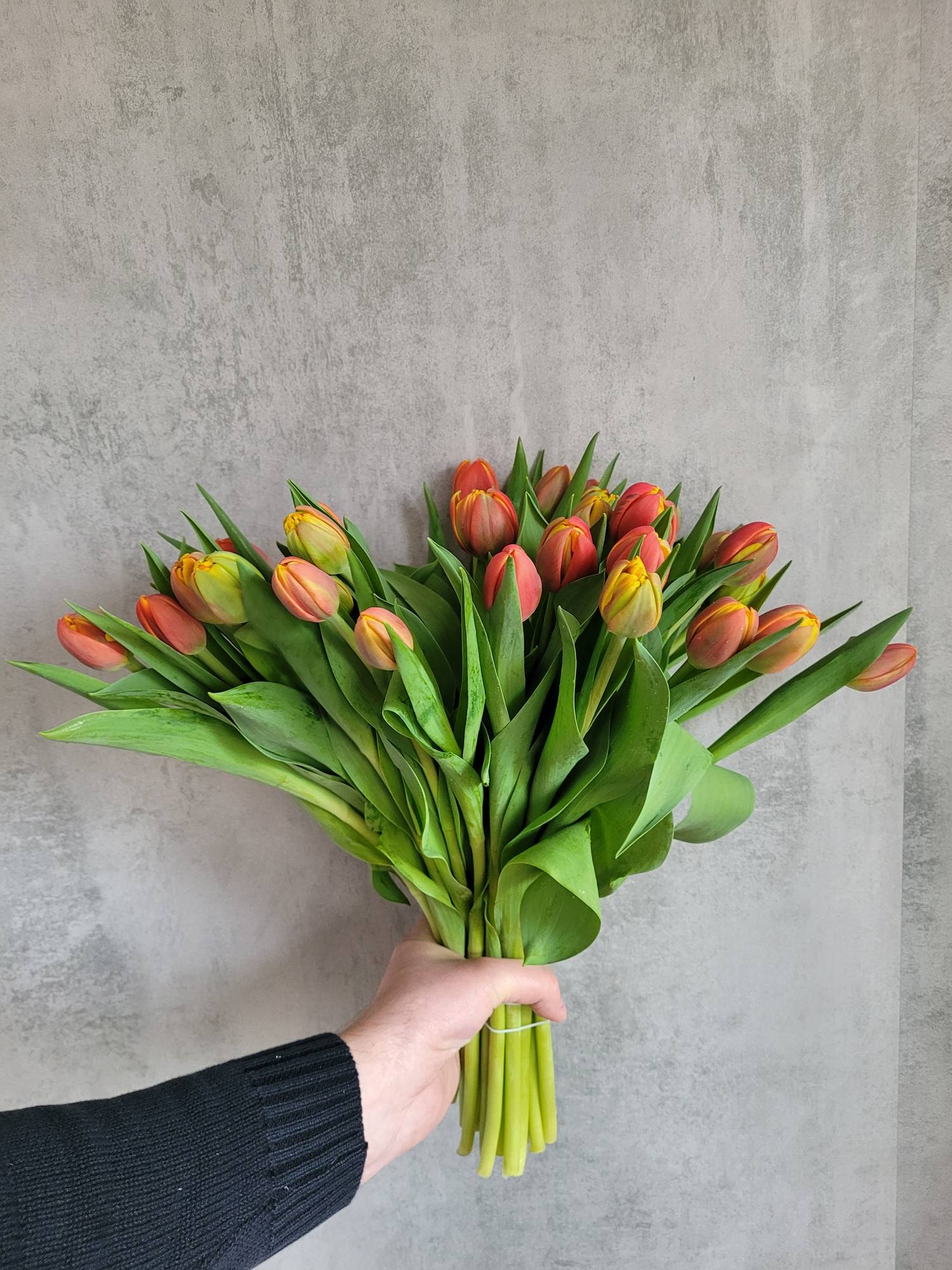 blumigo-tulpen-gef-llt-crossfire-orange-rot-schnittblumen image 4