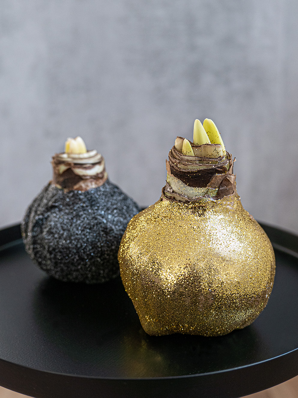 blumigo-amaryllis-knolle-gewachst-gold-glitzernd-ohne-erde image 3
