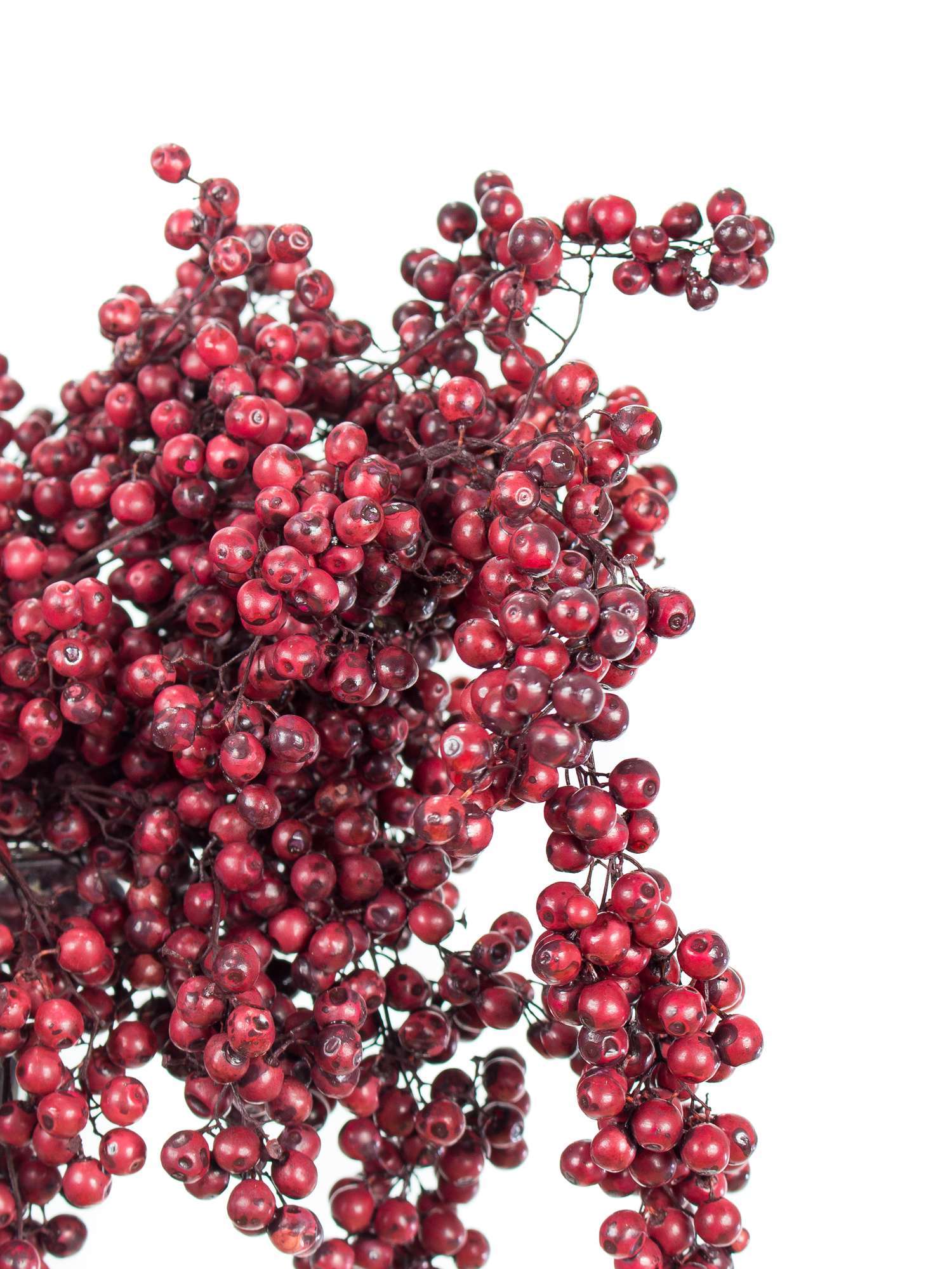 blumigo-trockenblumen-pfefferbeeren-bordeaux-violett image 1