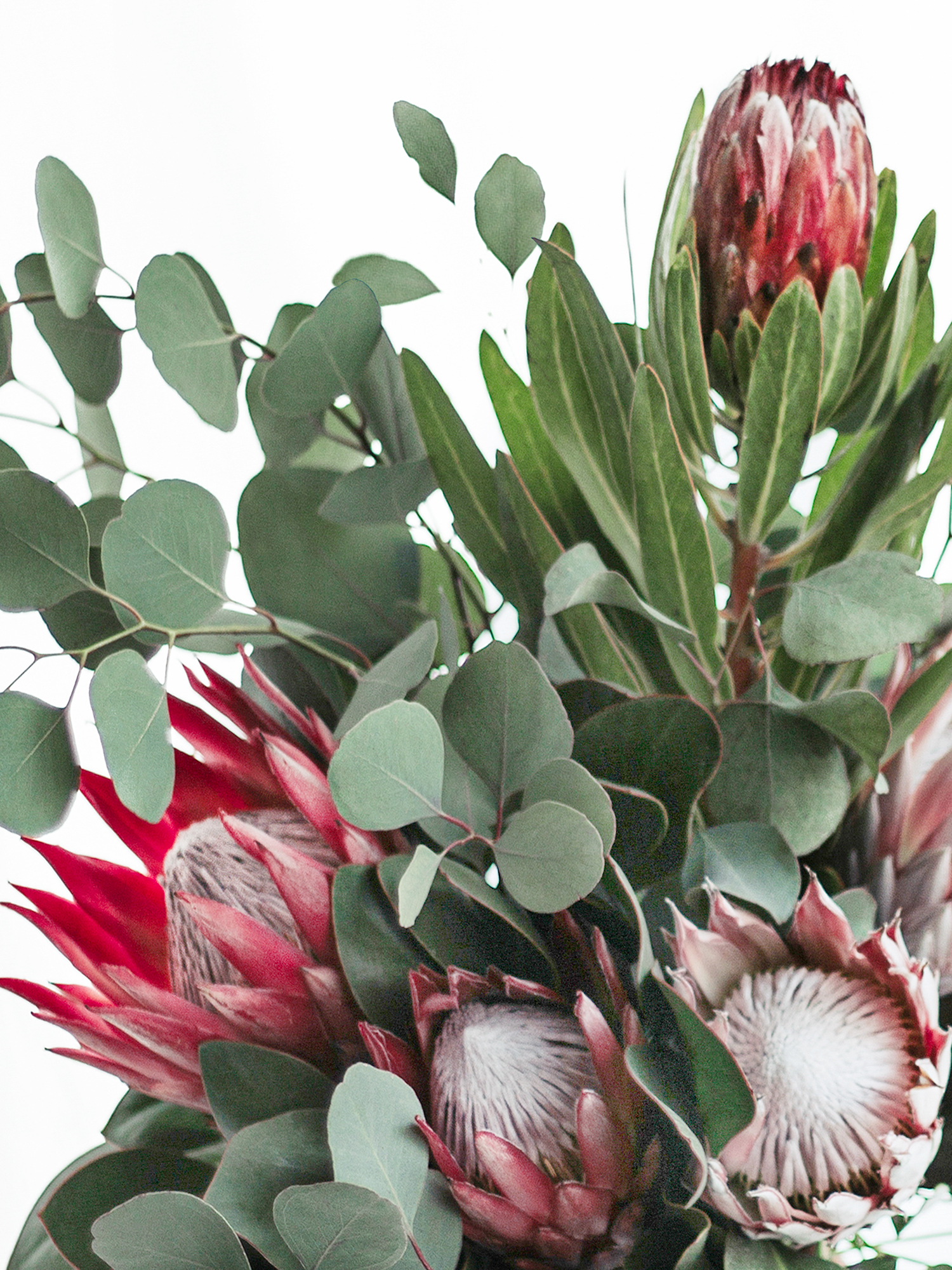 blumigo-berraschungsmixe-embrace-yourself-blumenstrau-frisch image 4