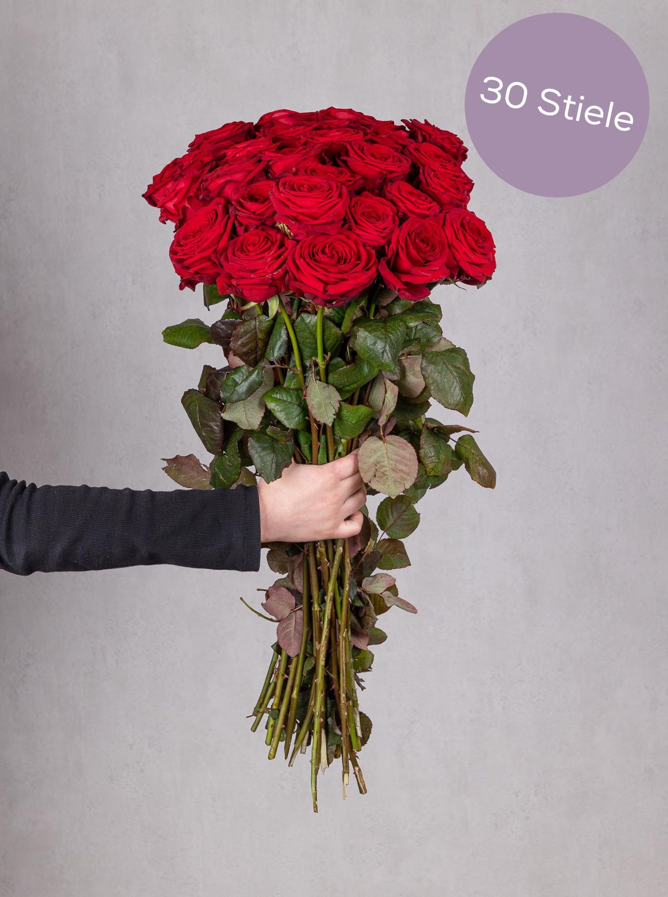 blumigo-rosen-red-naomi-rot-schnittrose-premium image 3