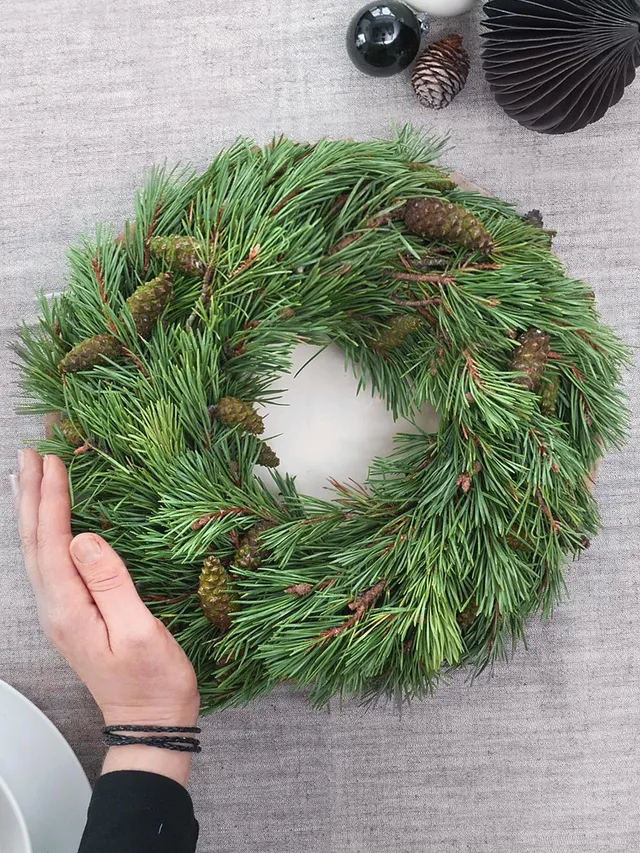blumigo-winterliches-gr-n-kiefernkranz-pinus-mugo-30-cm image 1