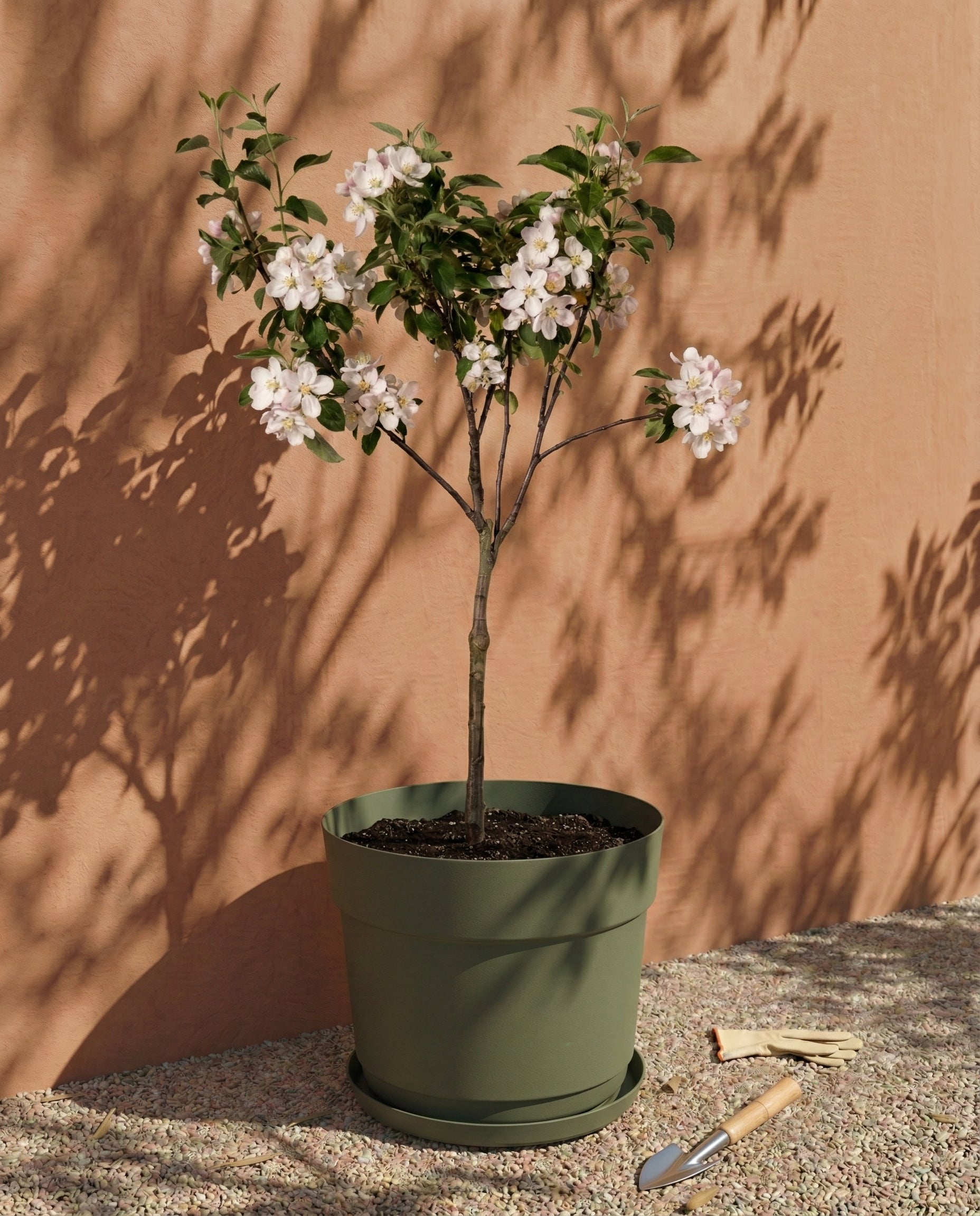 feey-bloom-pflanzk-bel-38-cm-gr-n-uv-best-ndig image 5
