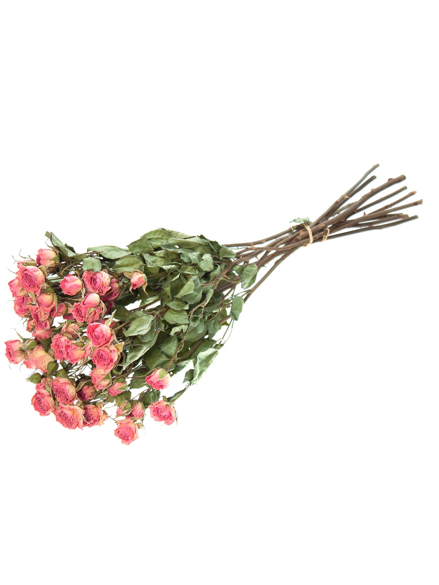 blumigo-trockenblumen-verzweigte-rosen-rosa-pink-getrocknet image 4