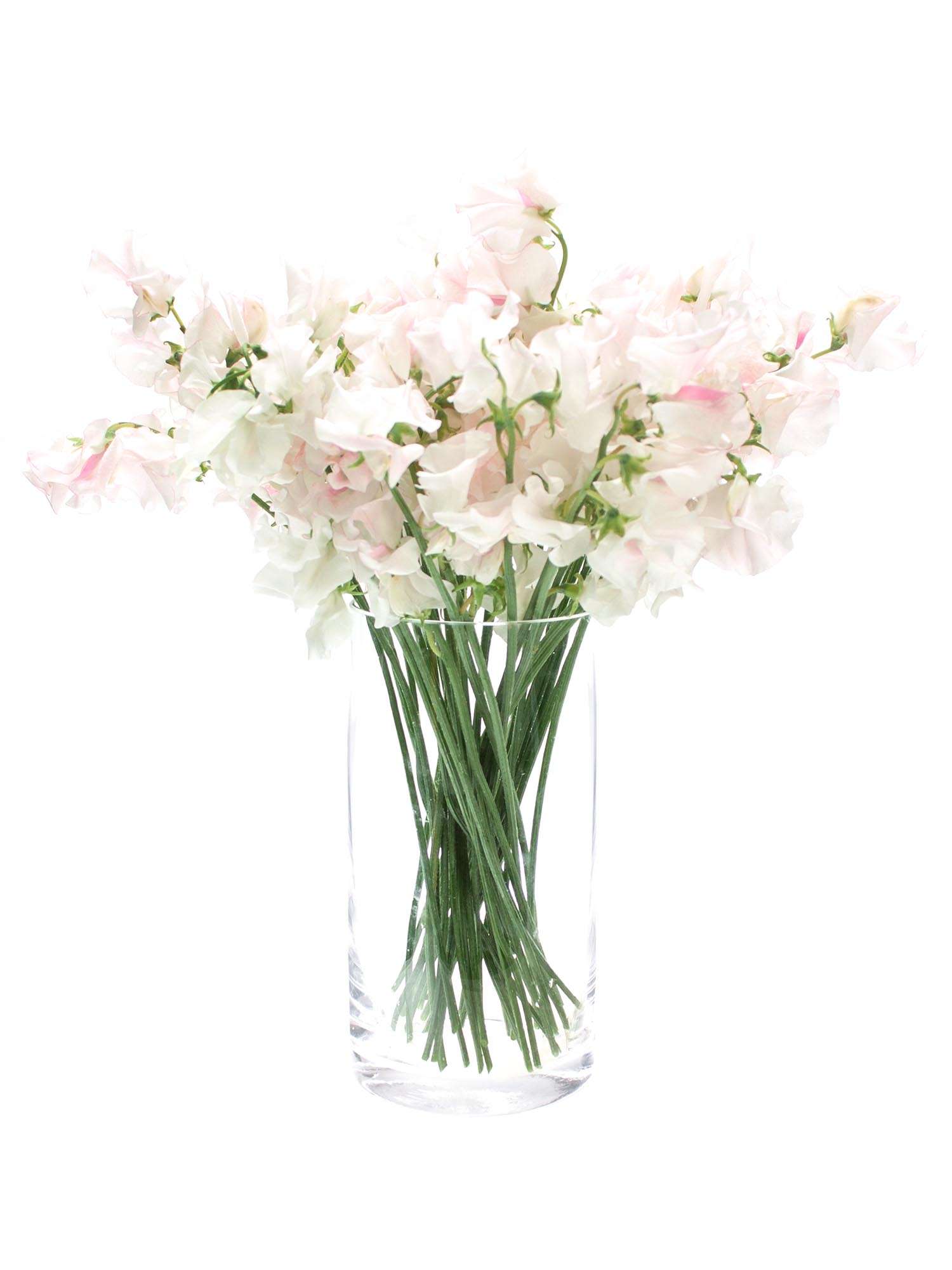blumigo-wicken-wedding-white-schnittblume-wei-ros image 2