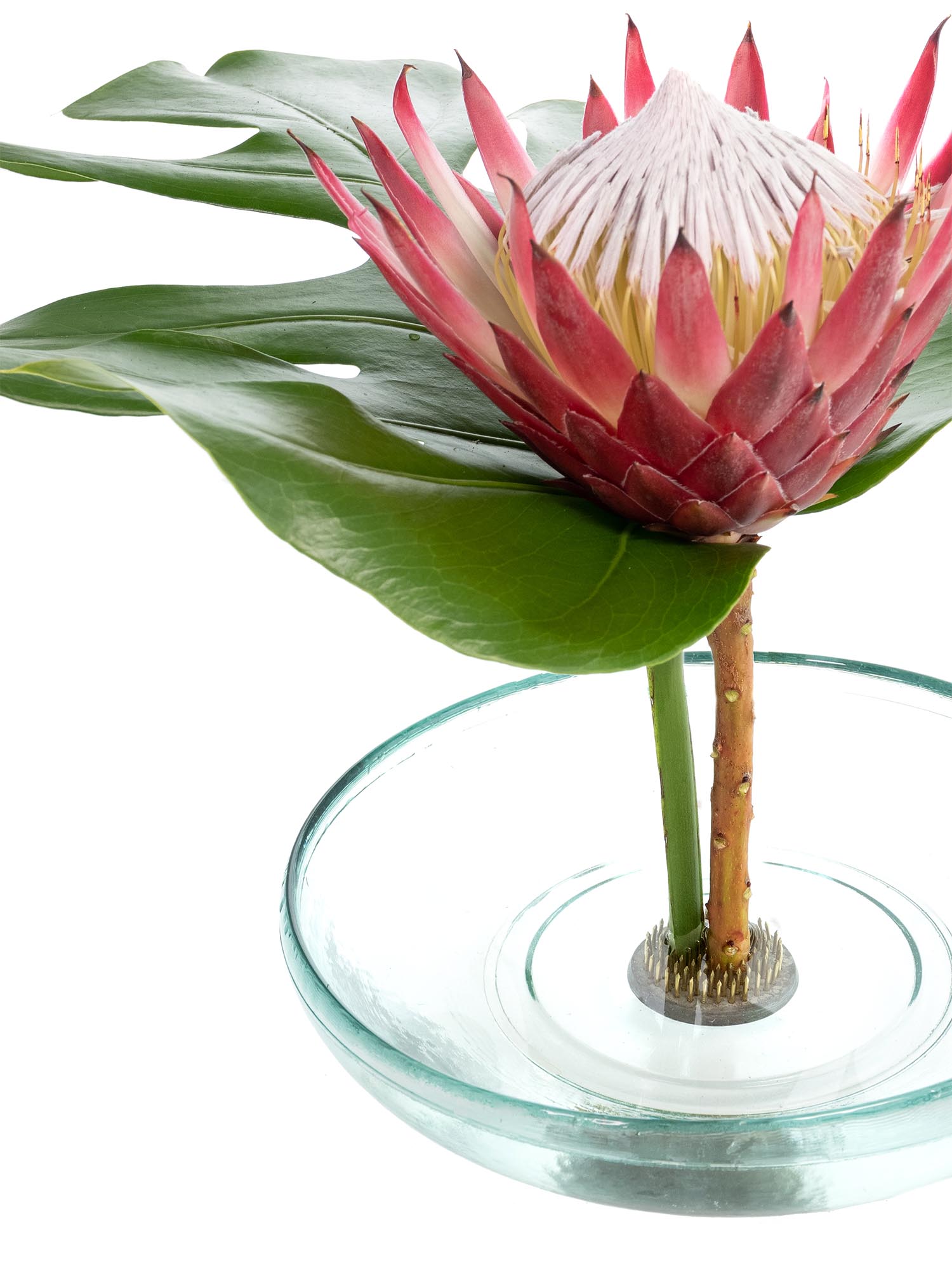 blumigo-steckigel-flower-frog-steckhilfe-metall image 3
