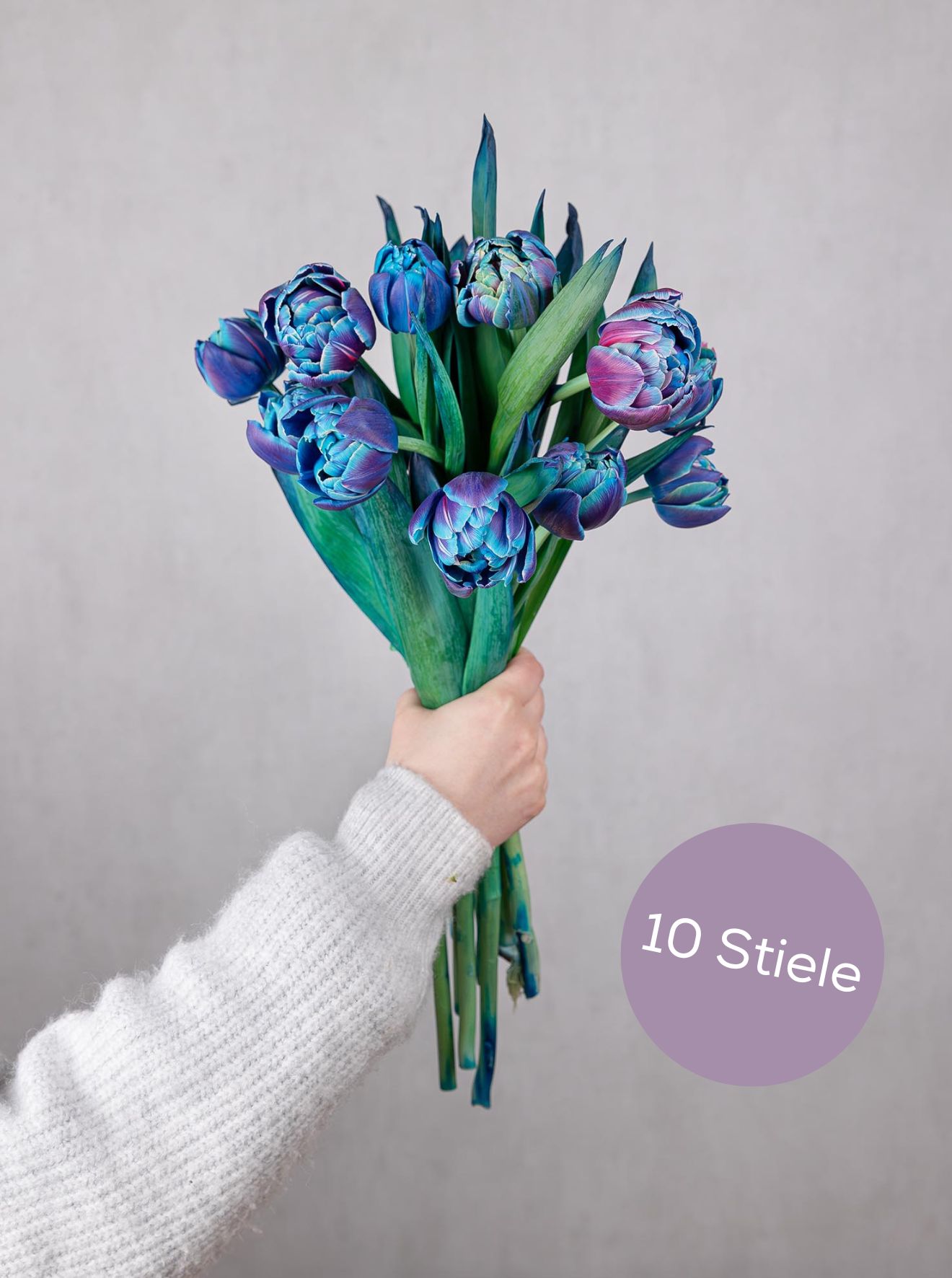 blumigo-tulpen-double-bubble-gef-llte-tulpen-blau image 3