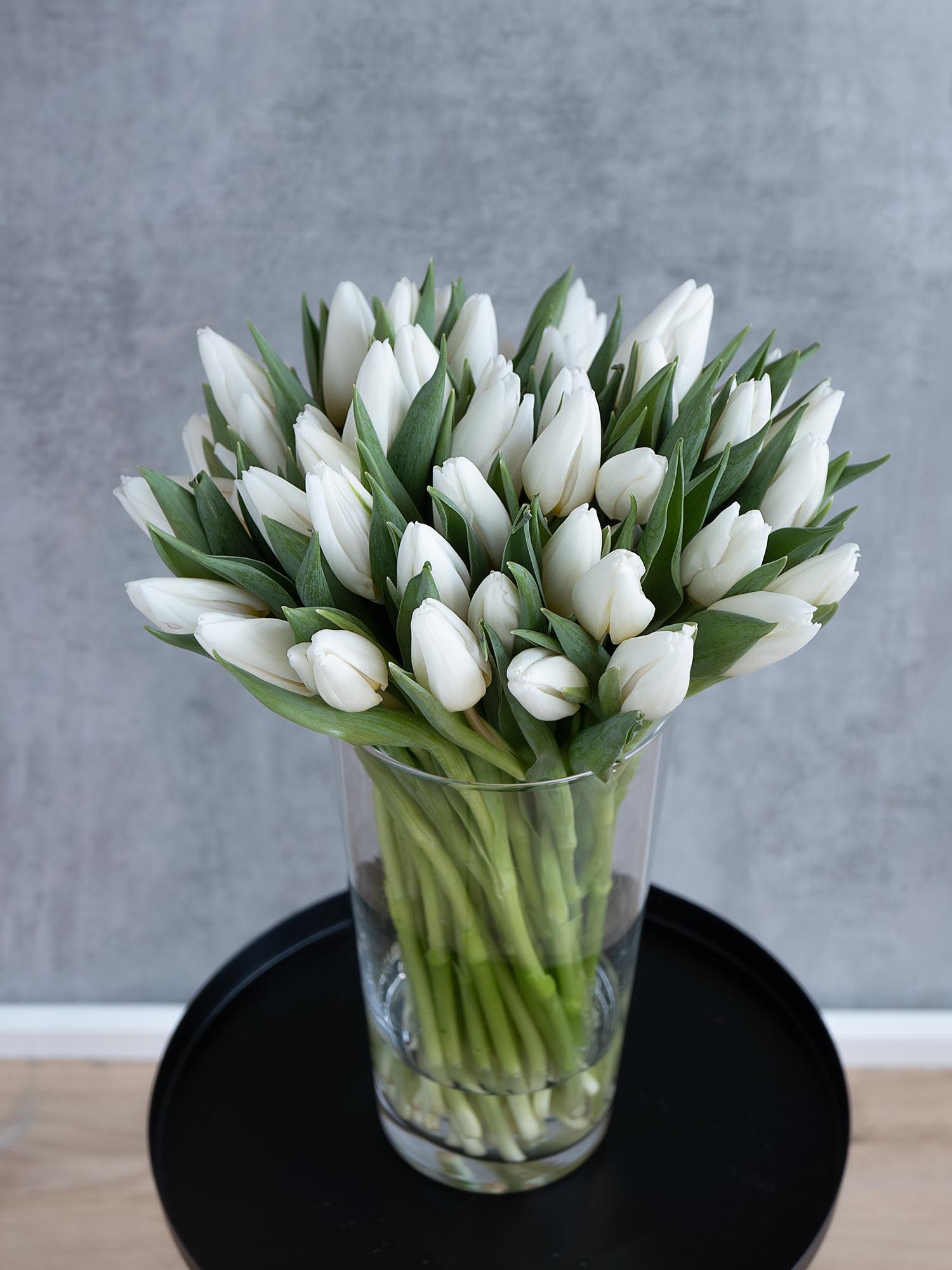 blumigo-tulpen-white-prince-wei-e-schnittblume image 4