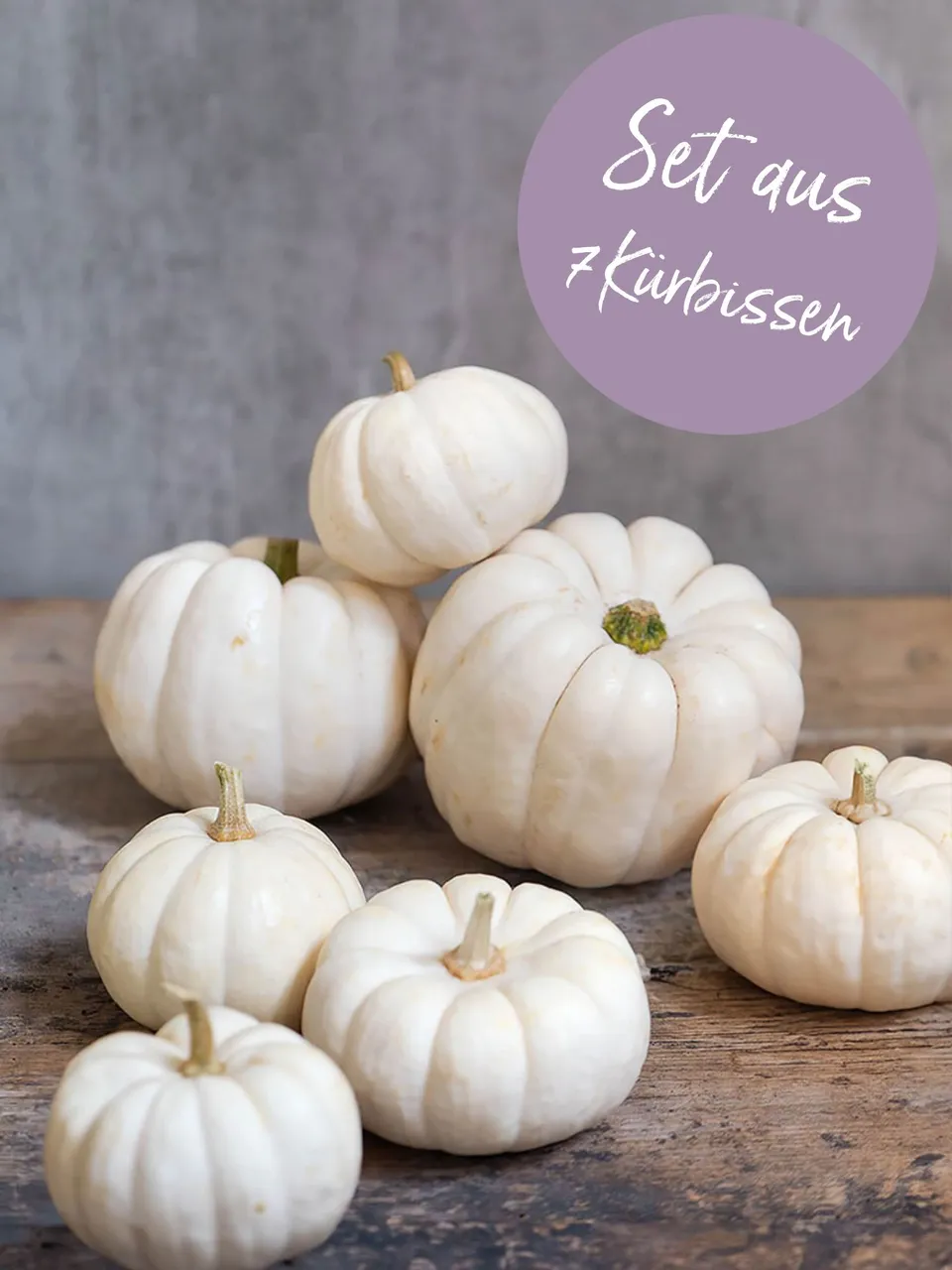 blumigo-herbstdeko-baby-boo-zierk-rbis-set-weiss image 1