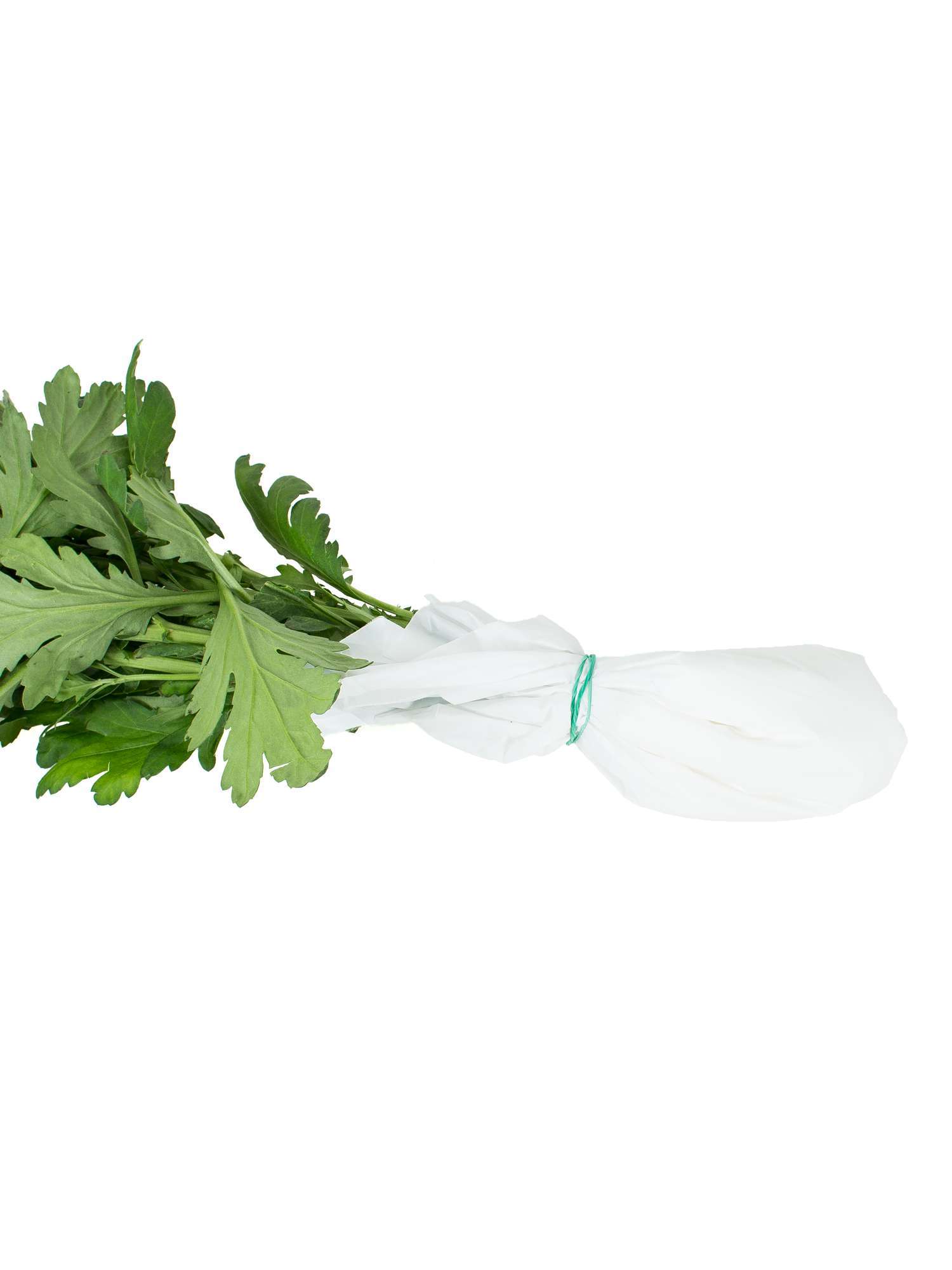 blumigo-freshbags-blumentransport-beutel-5-st-ck image 3