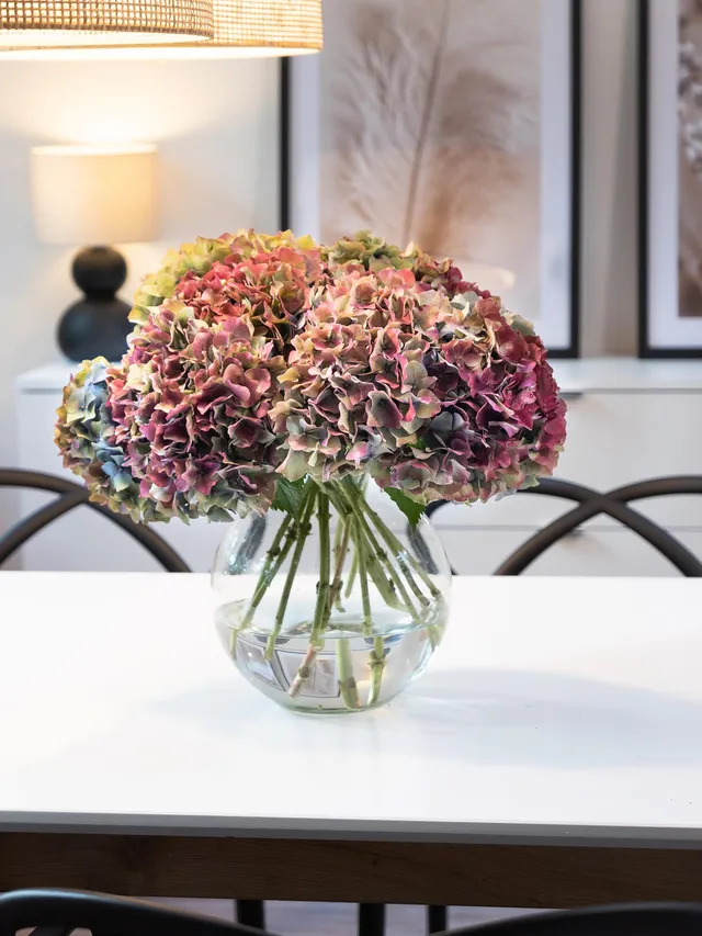 blumigo-hortensien-franz-sischer-farbmix-schnittblumen-5-st-ck image 1