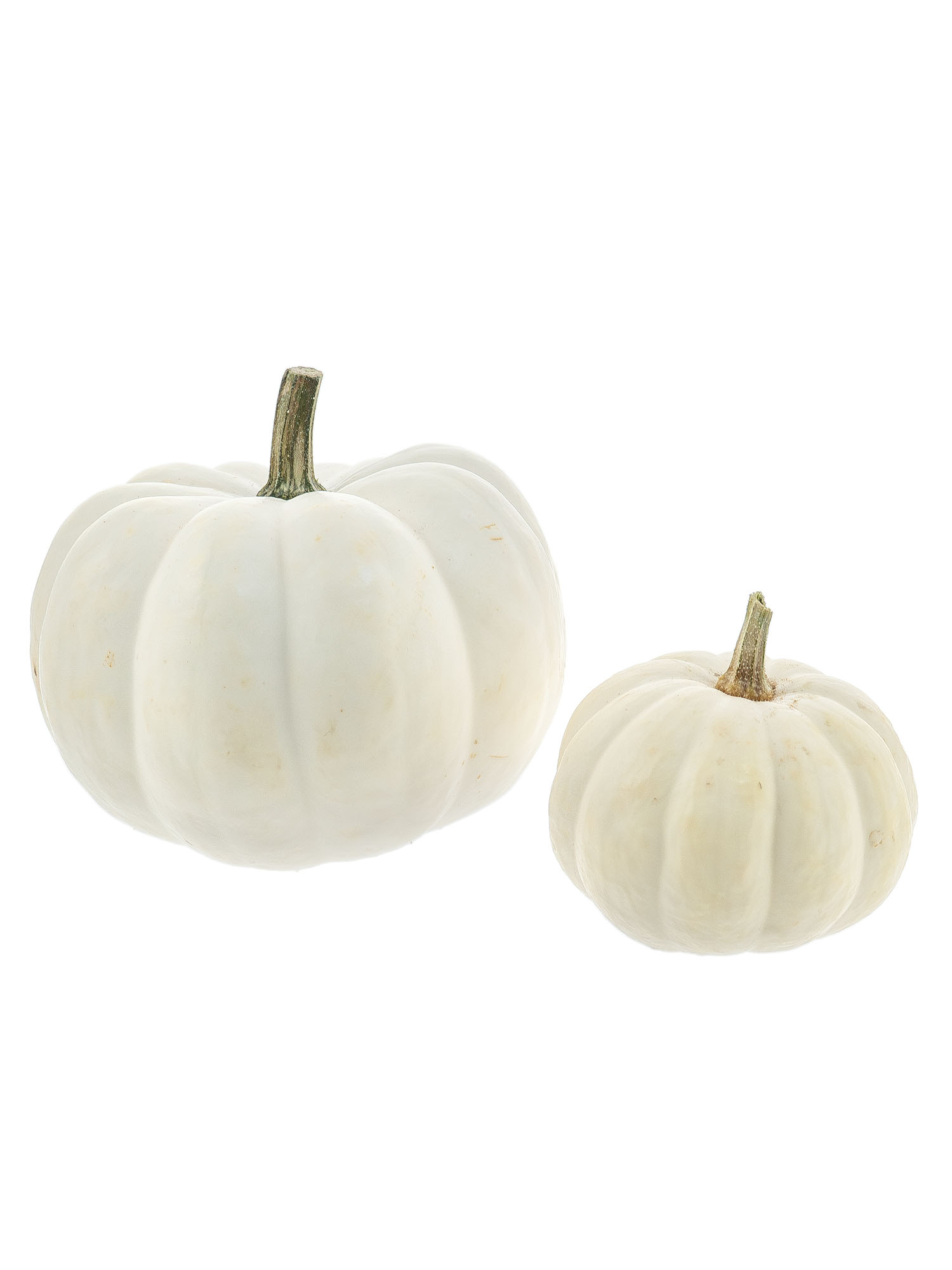 blumigo-herbstdeko-zierk-rbis-baby-boo-wei-creme-klein image 4