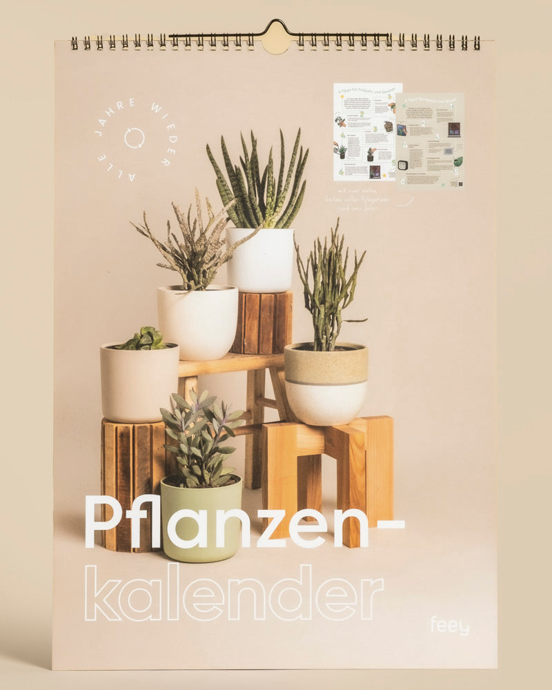 feey-lumi-pflanzenkalender-dauerkalender-a3 image 7
