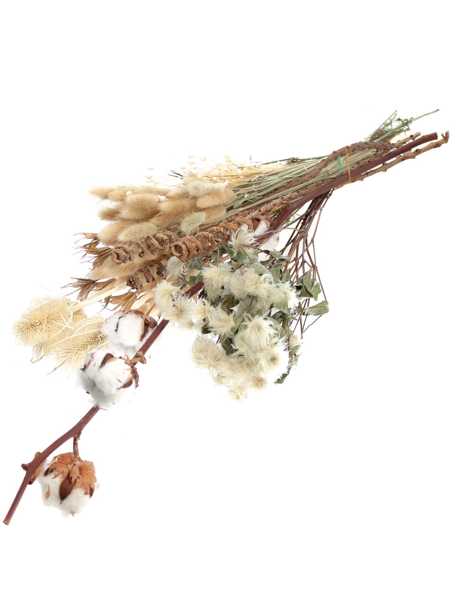 blumigo-berraschungsmix-trockenblumen-naturt-ne-bund image 2