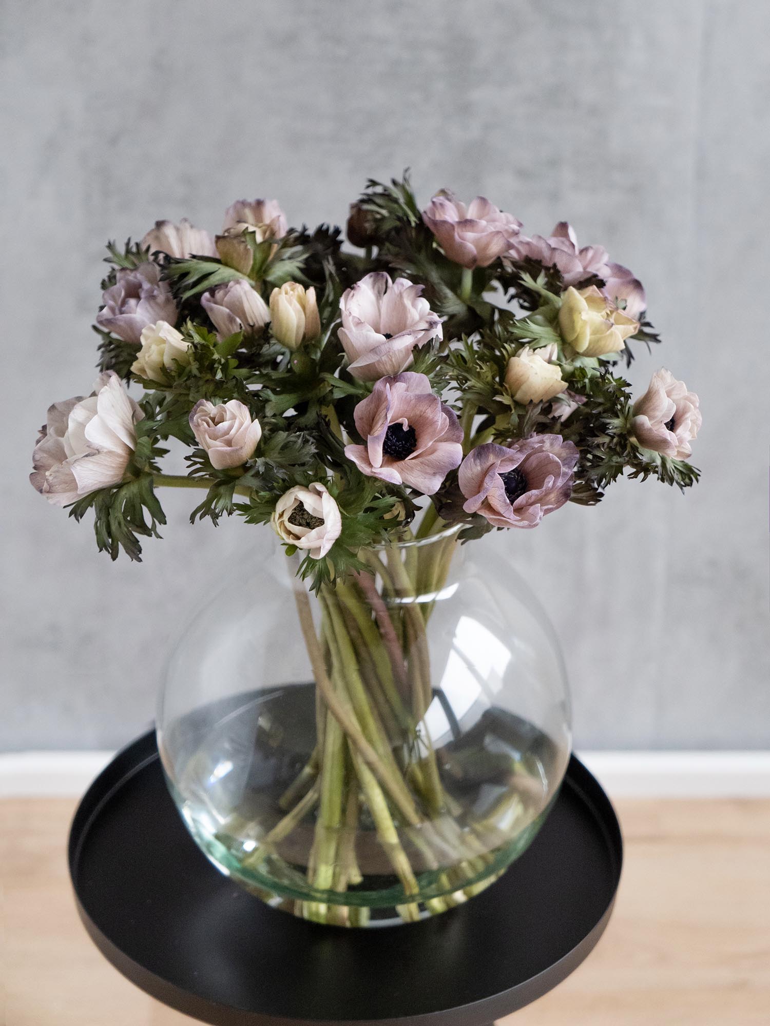 blumigo-anemonen-mistral-brownies-xl-schnittblumen-creme-grau image 4