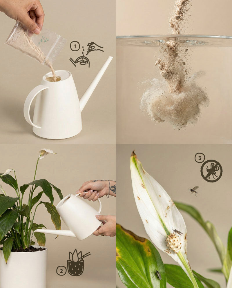 feey-lumi-nematoden-gegen-trauerm-cken-10-pflanzen-nat-rlich image 6