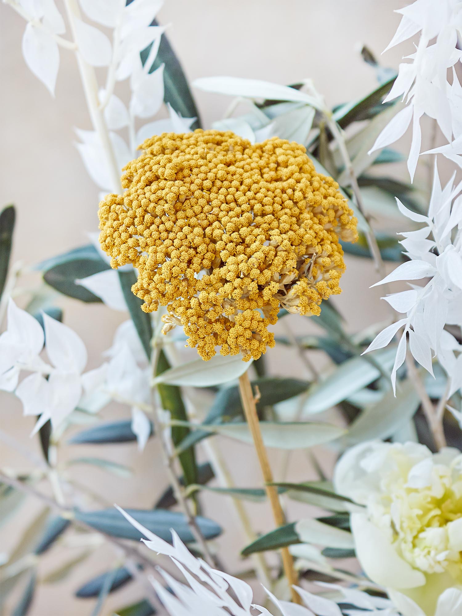 blumigo-fleur-de-mediterran-e-bouquet-strau-gemischt image 3