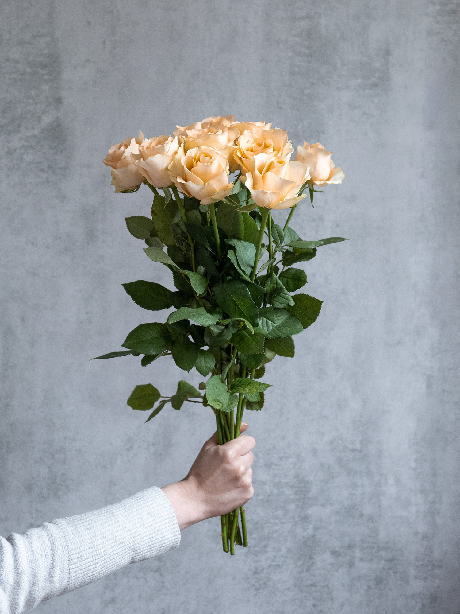 blumigo-rosen-avalanche-peach-rose-apricot-einzelstiel image 4