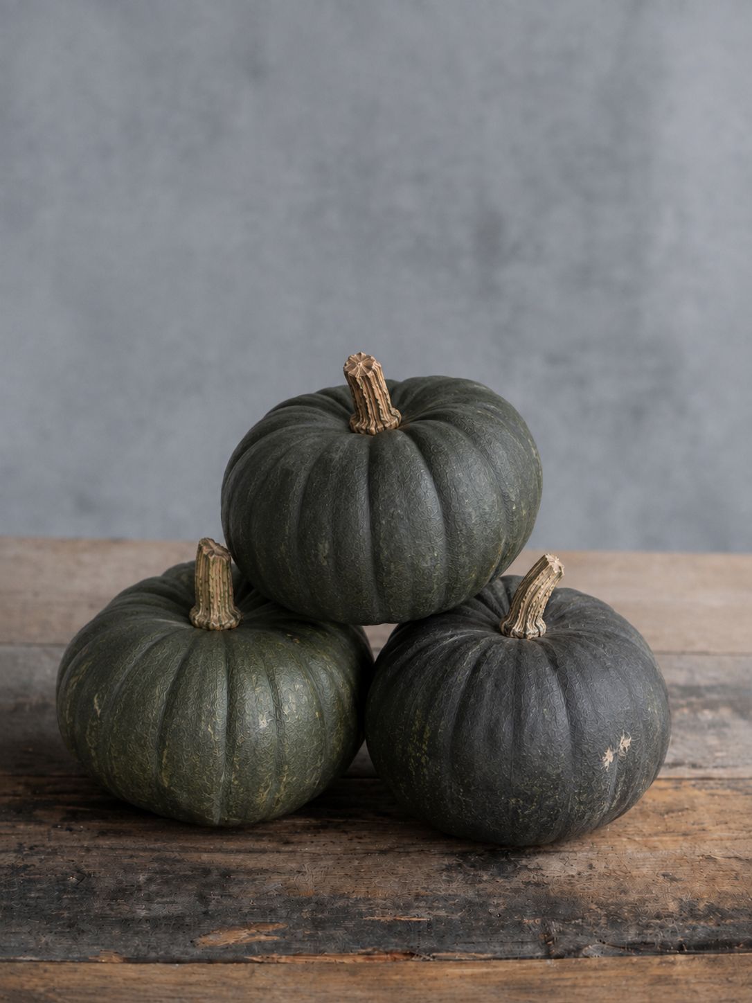 blumigo-herbstdeko-zierk-rbis-black-kat-schwarz-gr-n image 3