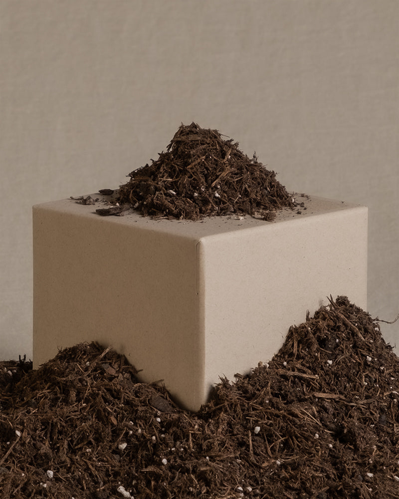 feey-lumi-erde-f-r-zimmerpflanzen-torffrei-zum-umtopfen image 7