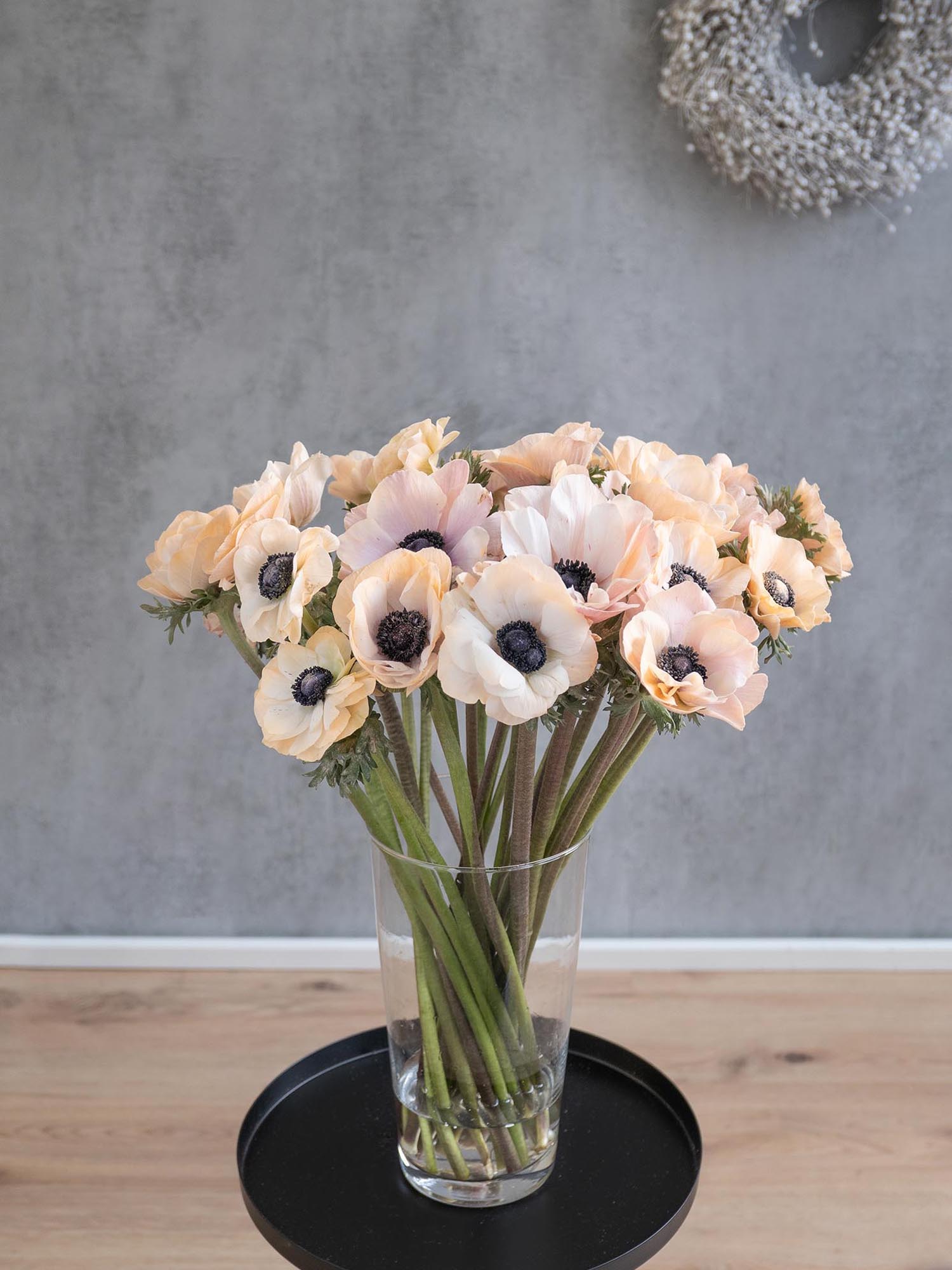 blumigo-anemonen-xl-mistral-powder-apricot-bund-apricot image 4