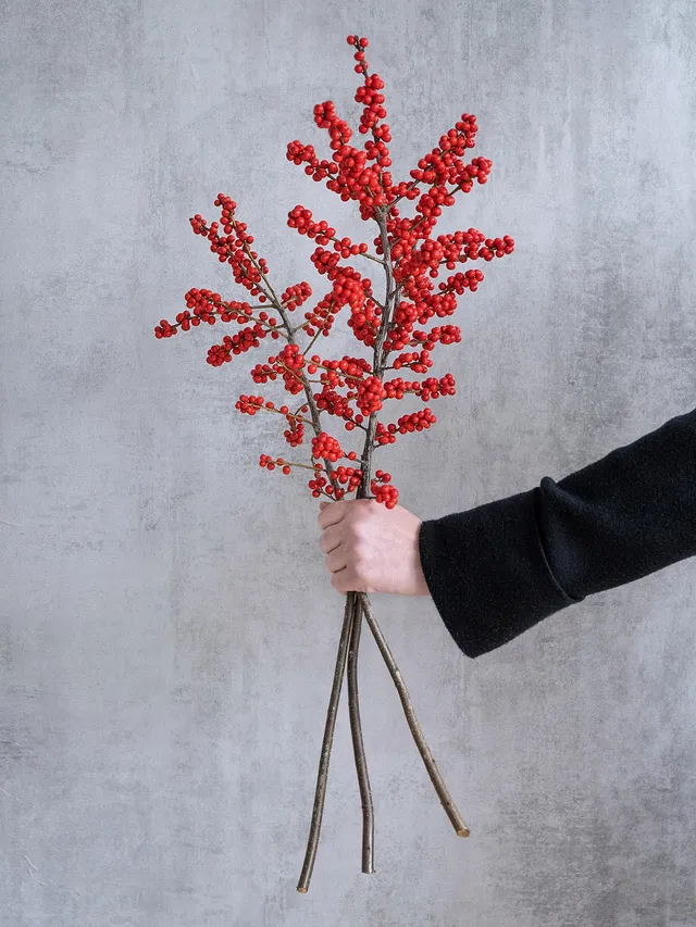 blumigo-ilex-zweige-rot-mit-beeren-stechpalme image 1