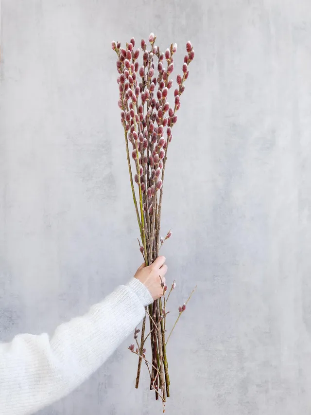 blumigo-weidenk-tzchen-red-passion-rot-silber-zweig image 1