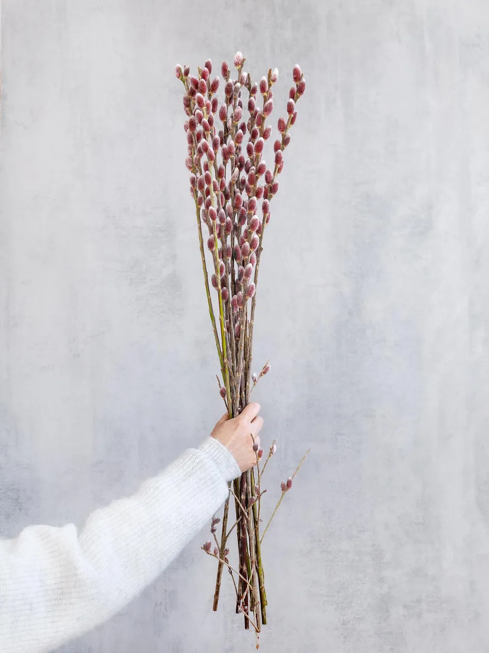 blumigo-weidenk-tzchen-red-passion-rot-silber-zweig image 1