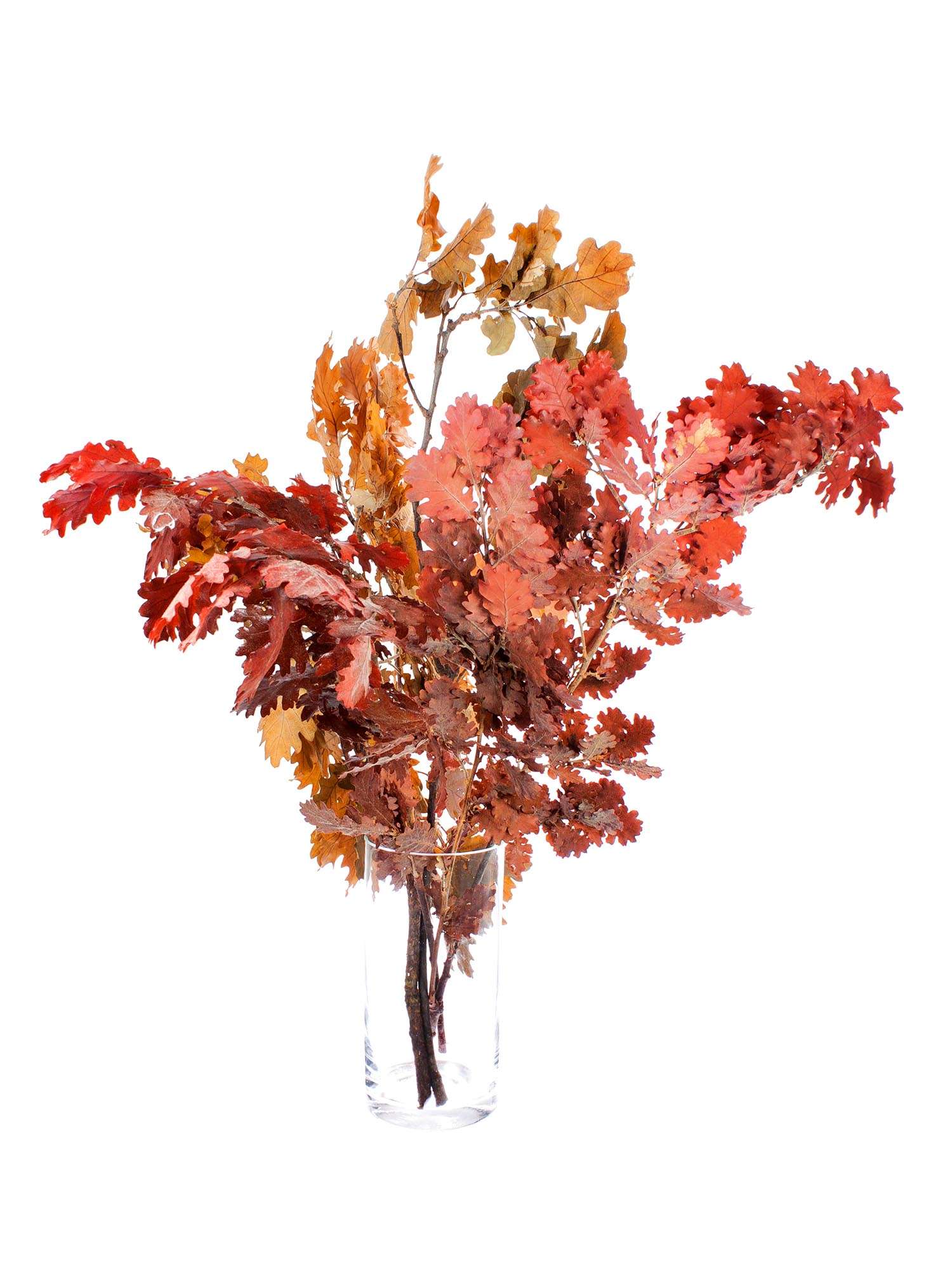 blumigo-trockenblumen-eichenbl-tter-rot-orange image 2