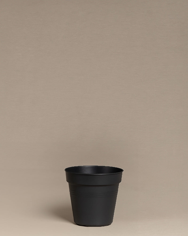 feey-amsterdam-innentopf-10-5-cm-kunststoff-umtopfen image 1