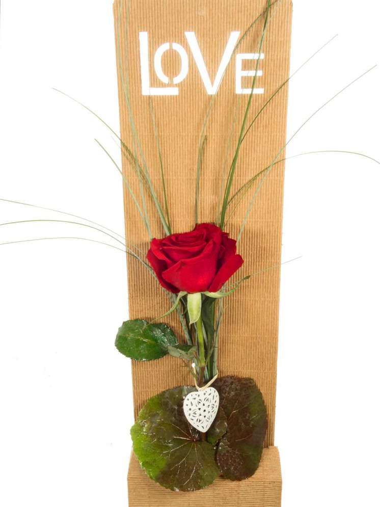 blumigo-love-rote-rose-einzelrose-red-naomi-geschenkbox image 3