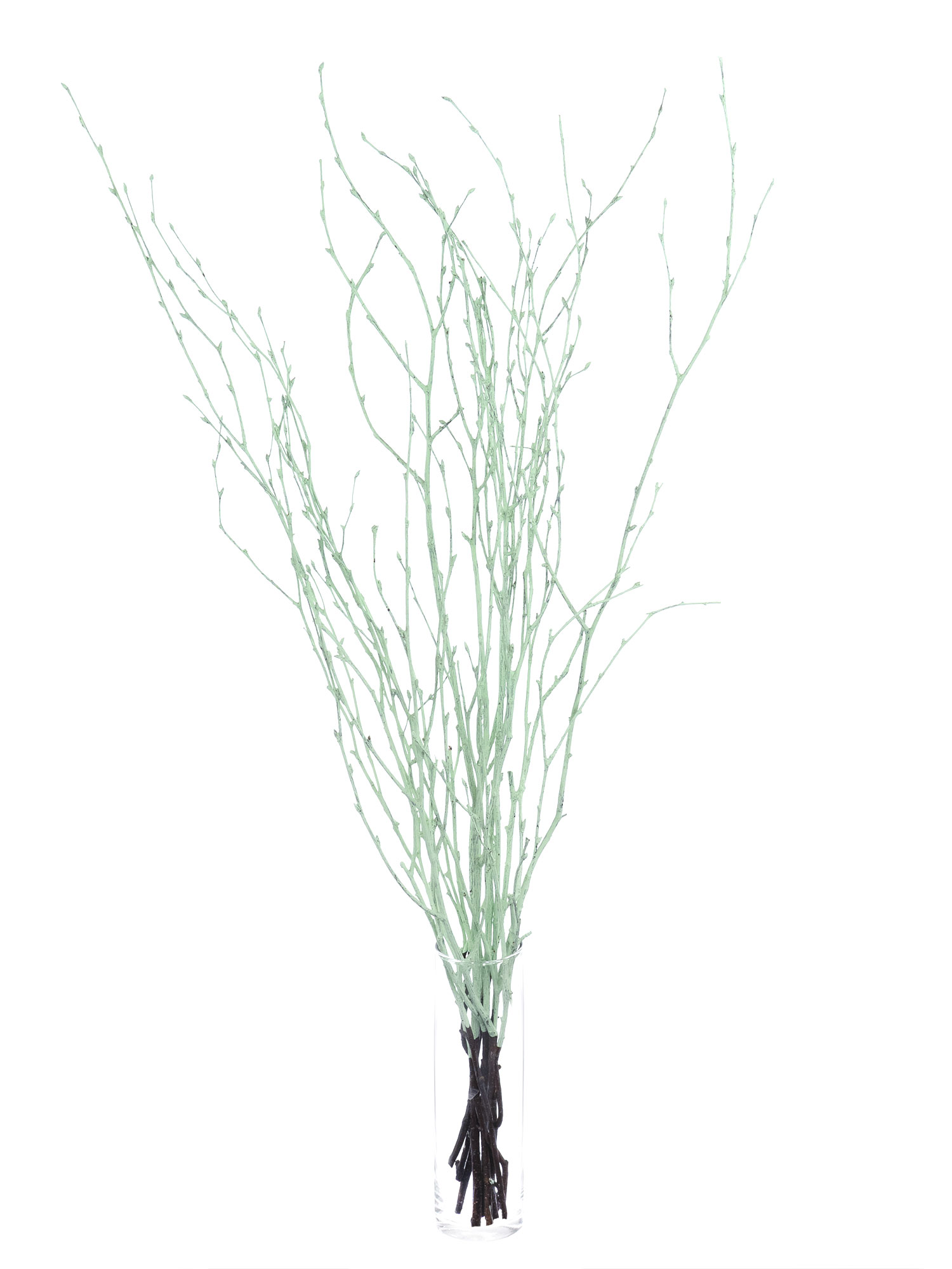 blumigo-birkenzweige-zweige-gef-rbt-mint image 4