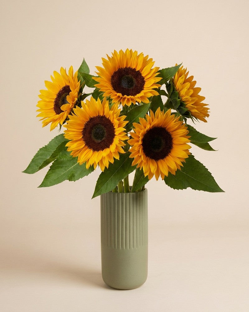 feey-sonnenblumen-strau-gelb-5-stk-schnittblumen image 6