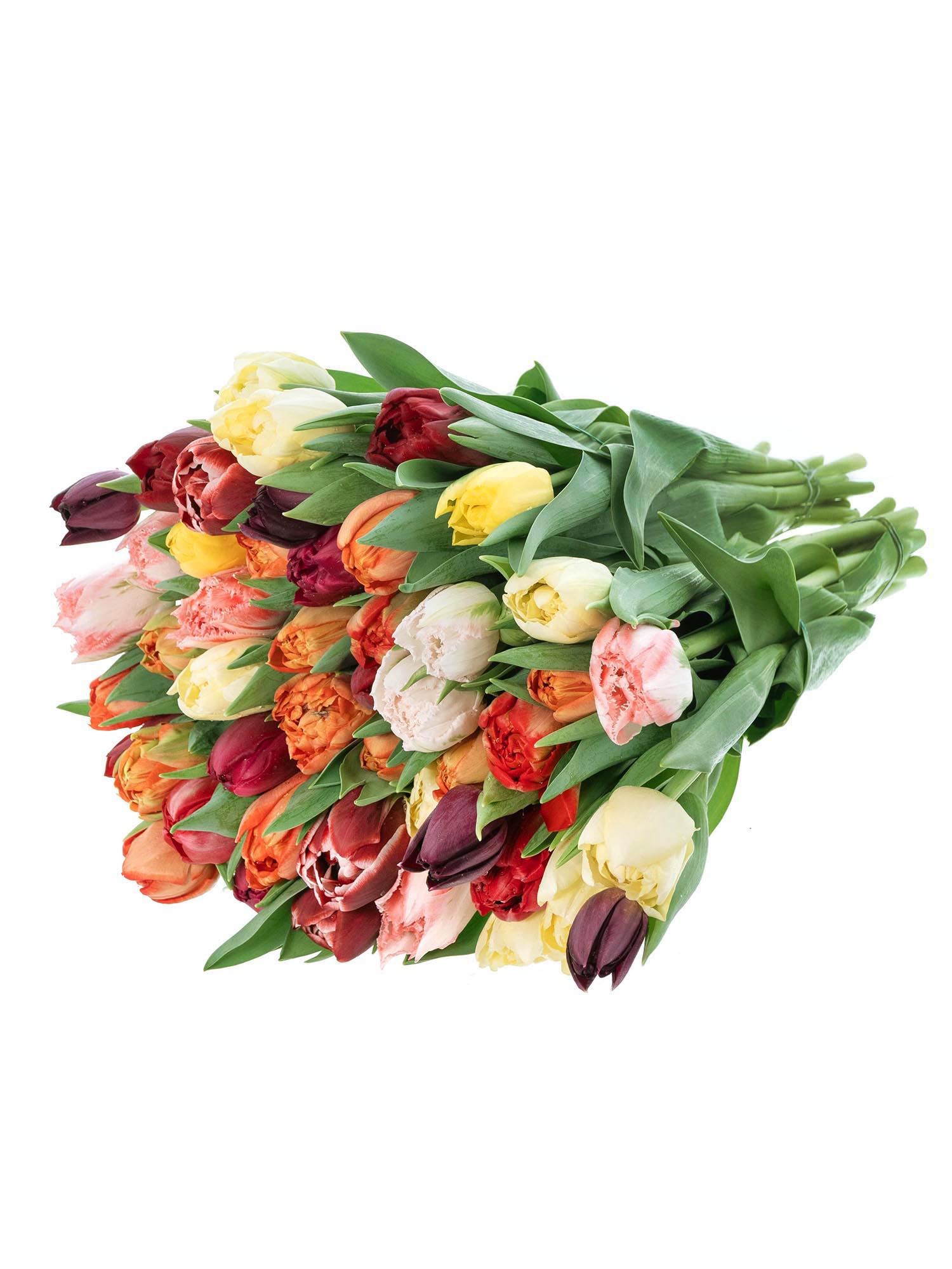 blumigo-berraschungsmixe-50-tulpen-schnittblumen-bunt-gemischt image 3